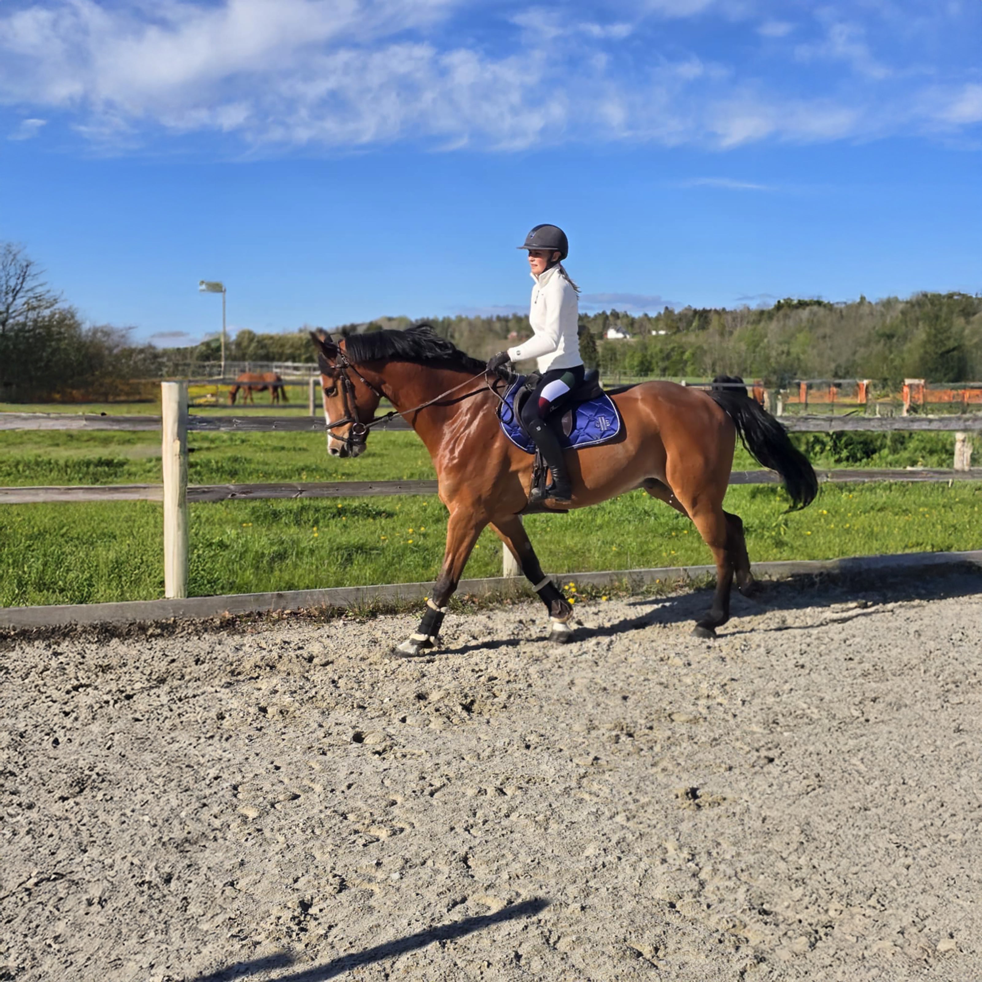 SANTA CLARA Polar Fleece Jacket Offwhite (Snow White)