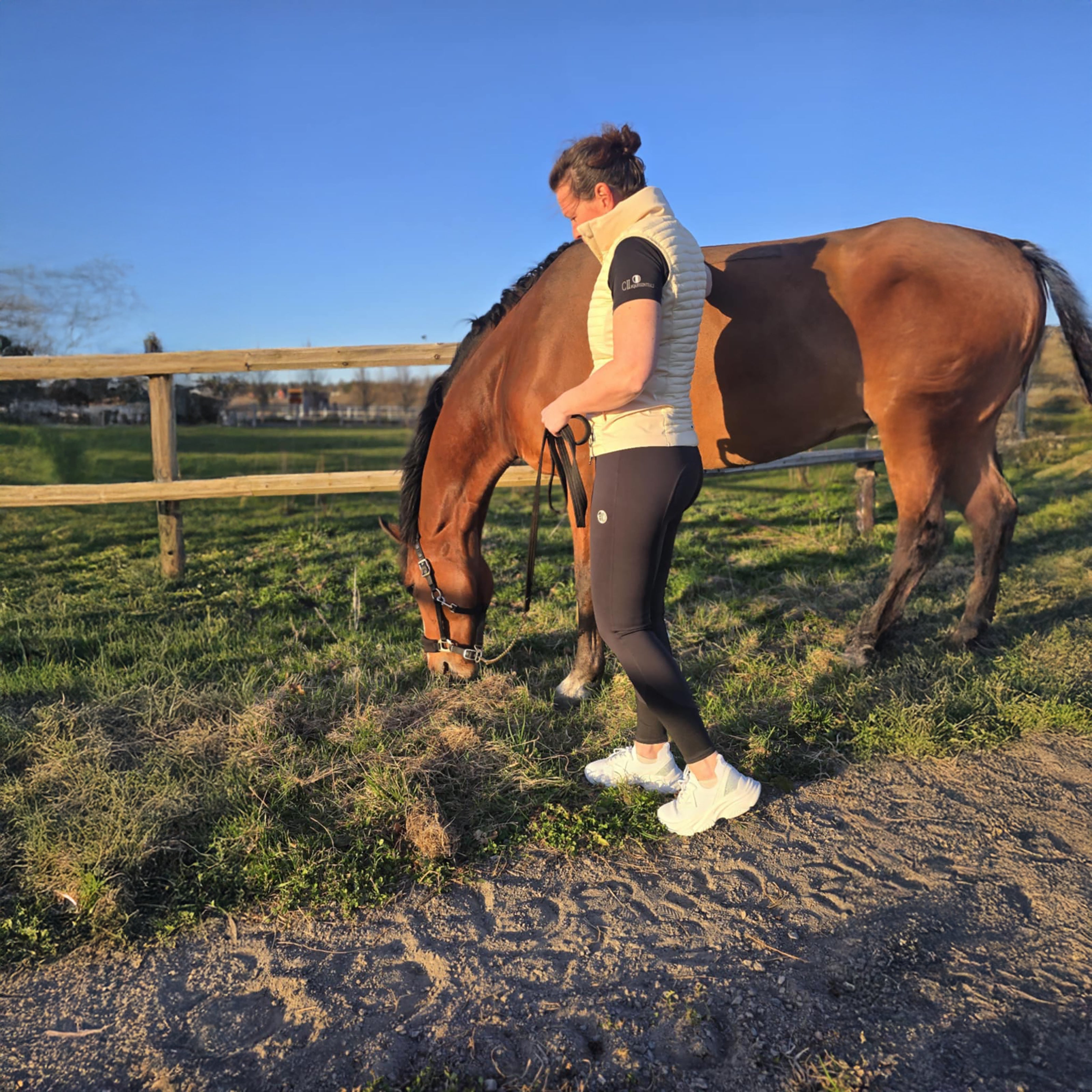 NATOMAS Softshell Quilted Bodywarmer Beige (Chreme Brulee)