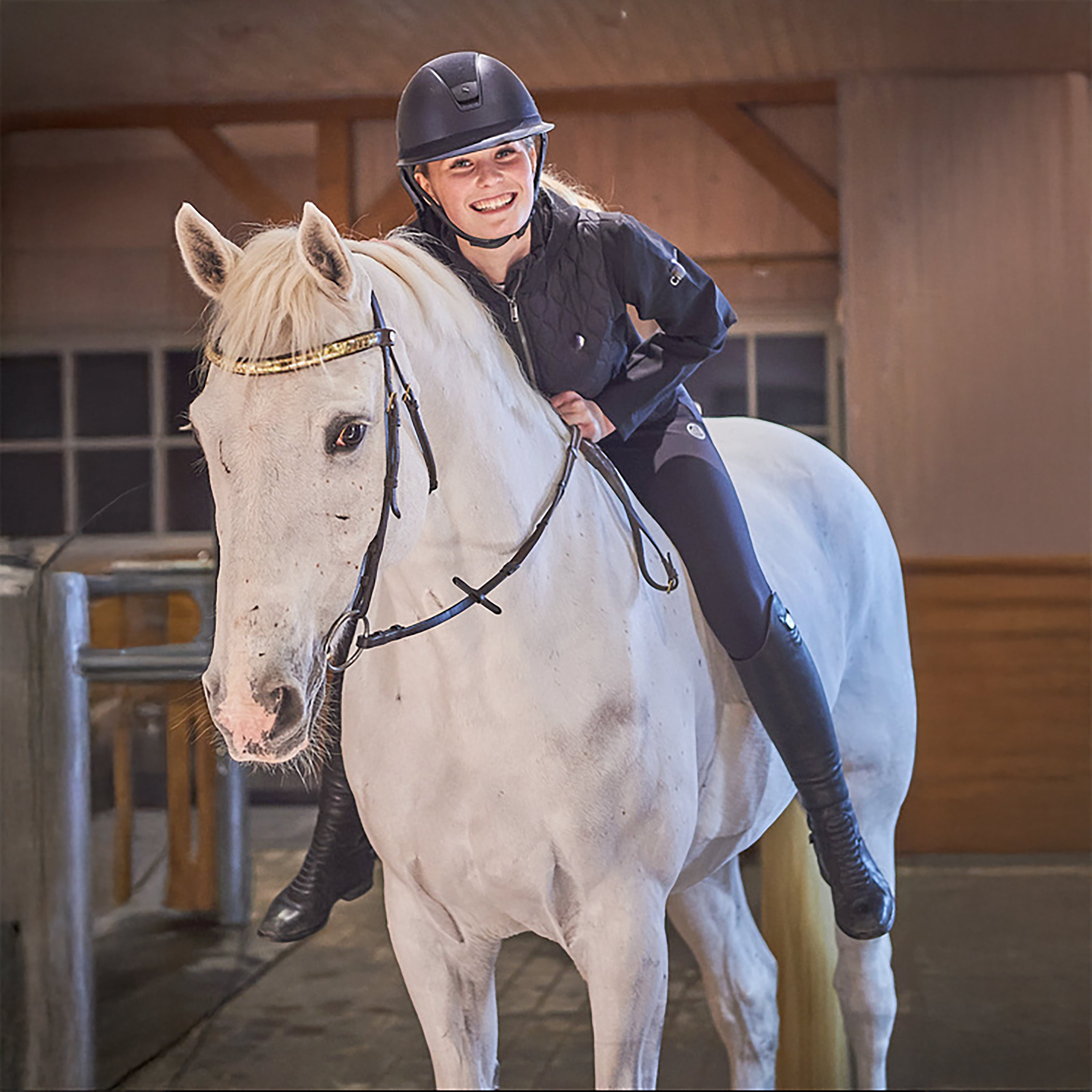 RIPON Softshell Quilted Jacket Black (Jet Black)