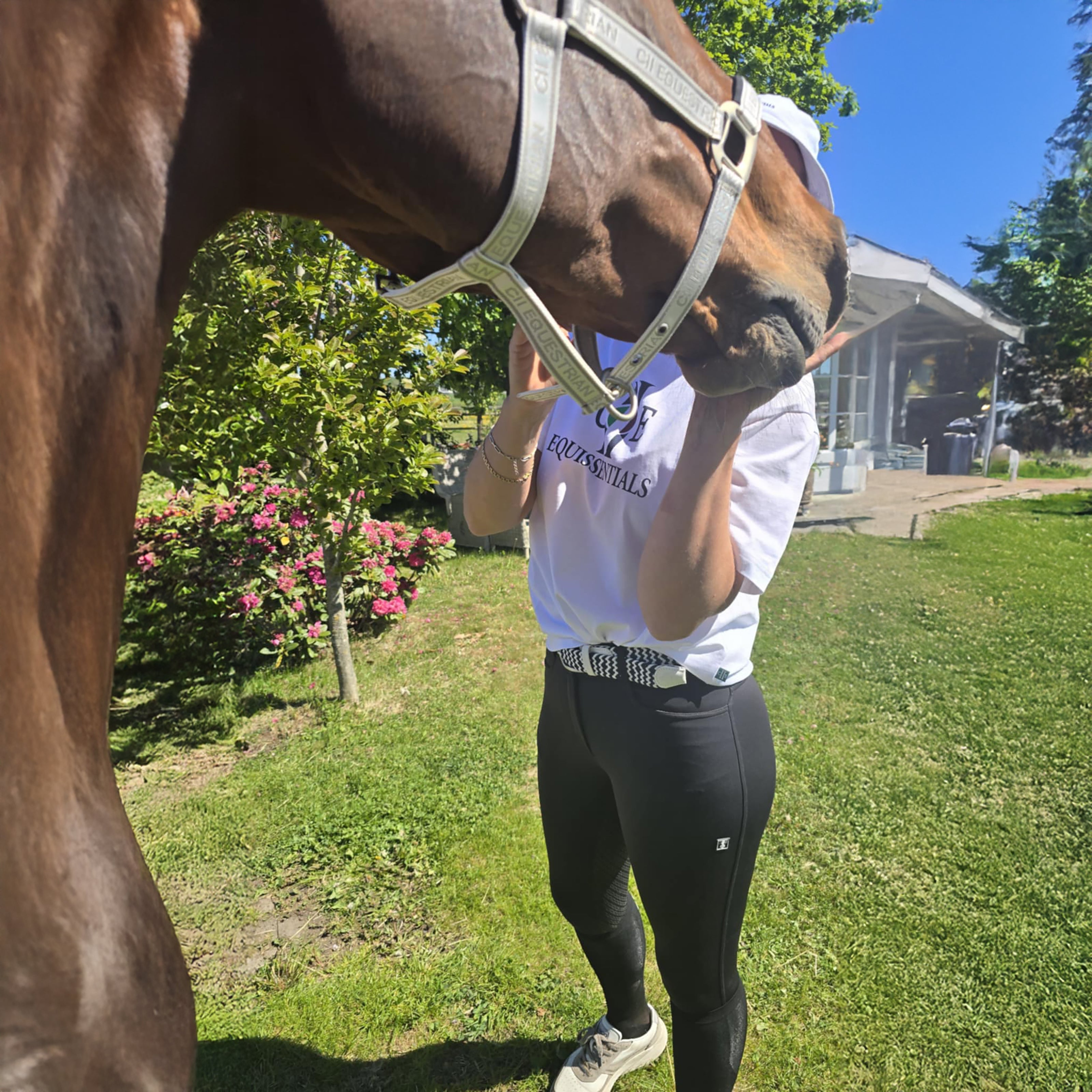 GREAT AMERICA RN T-Shirt White (Optical White)