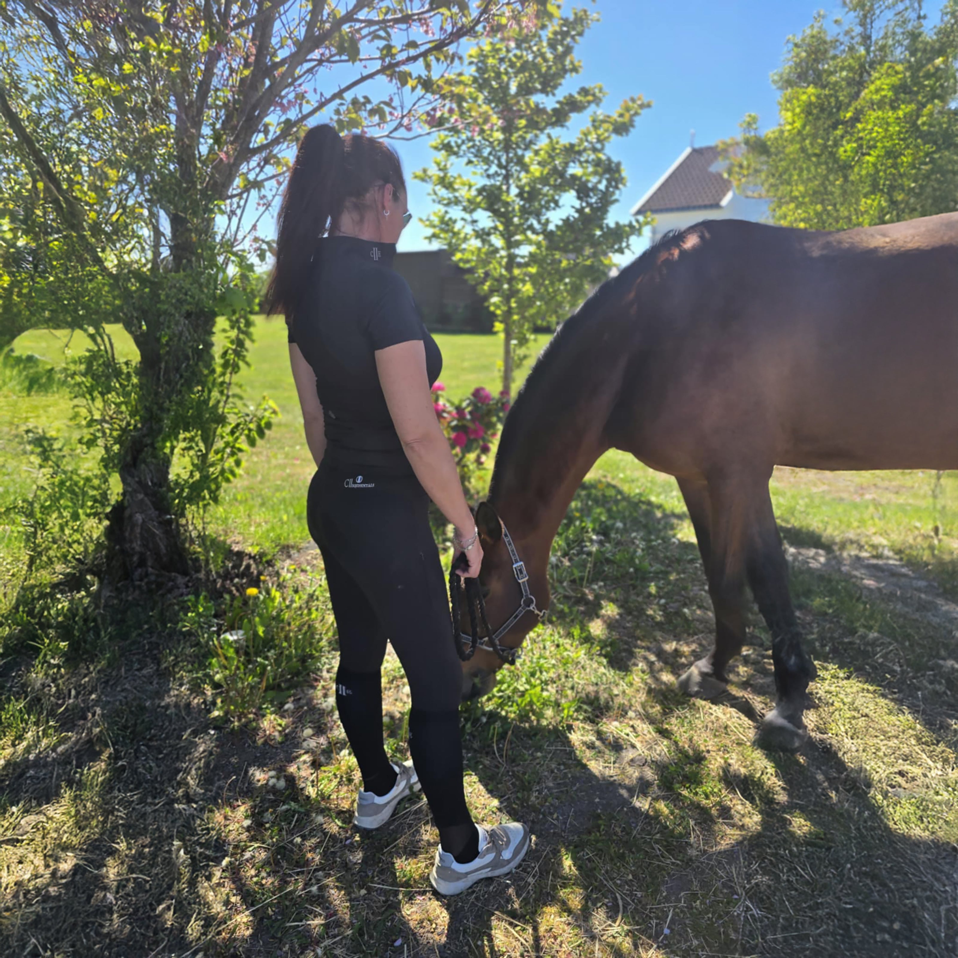 BAKERSFIELD Ladies Zip Neck Showshirt Black (Jet Black)