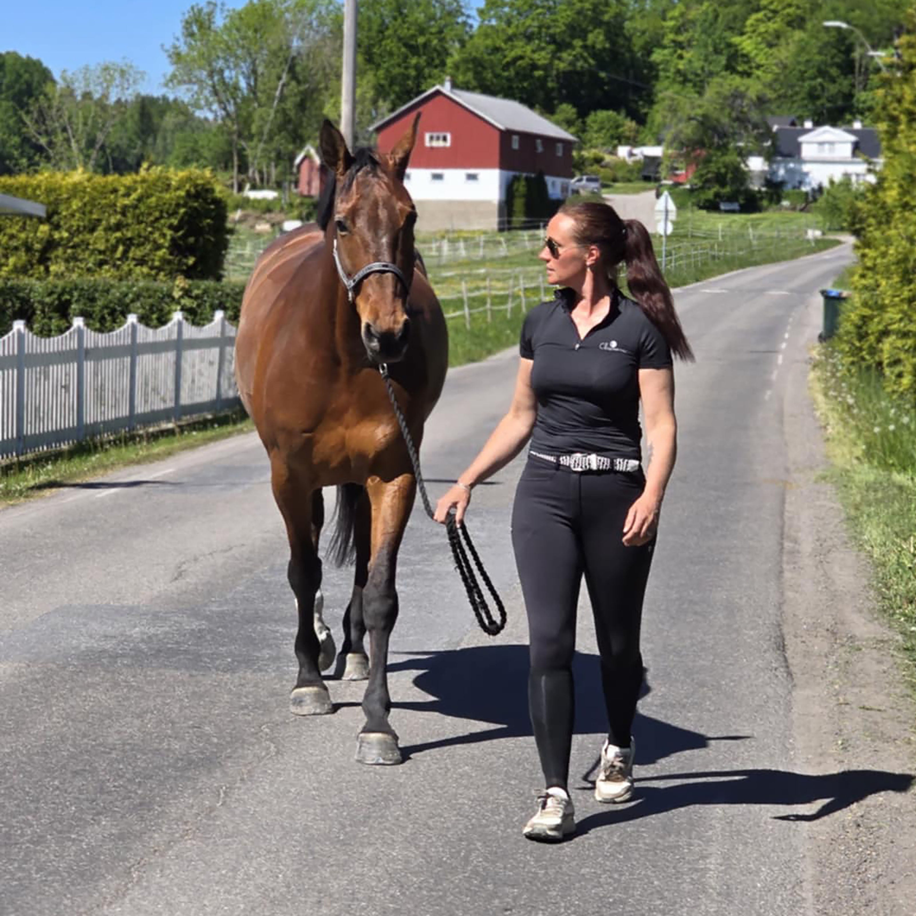 BAKERSFIELD Ladies Zip Neck Showshirt Black (Jet Black)