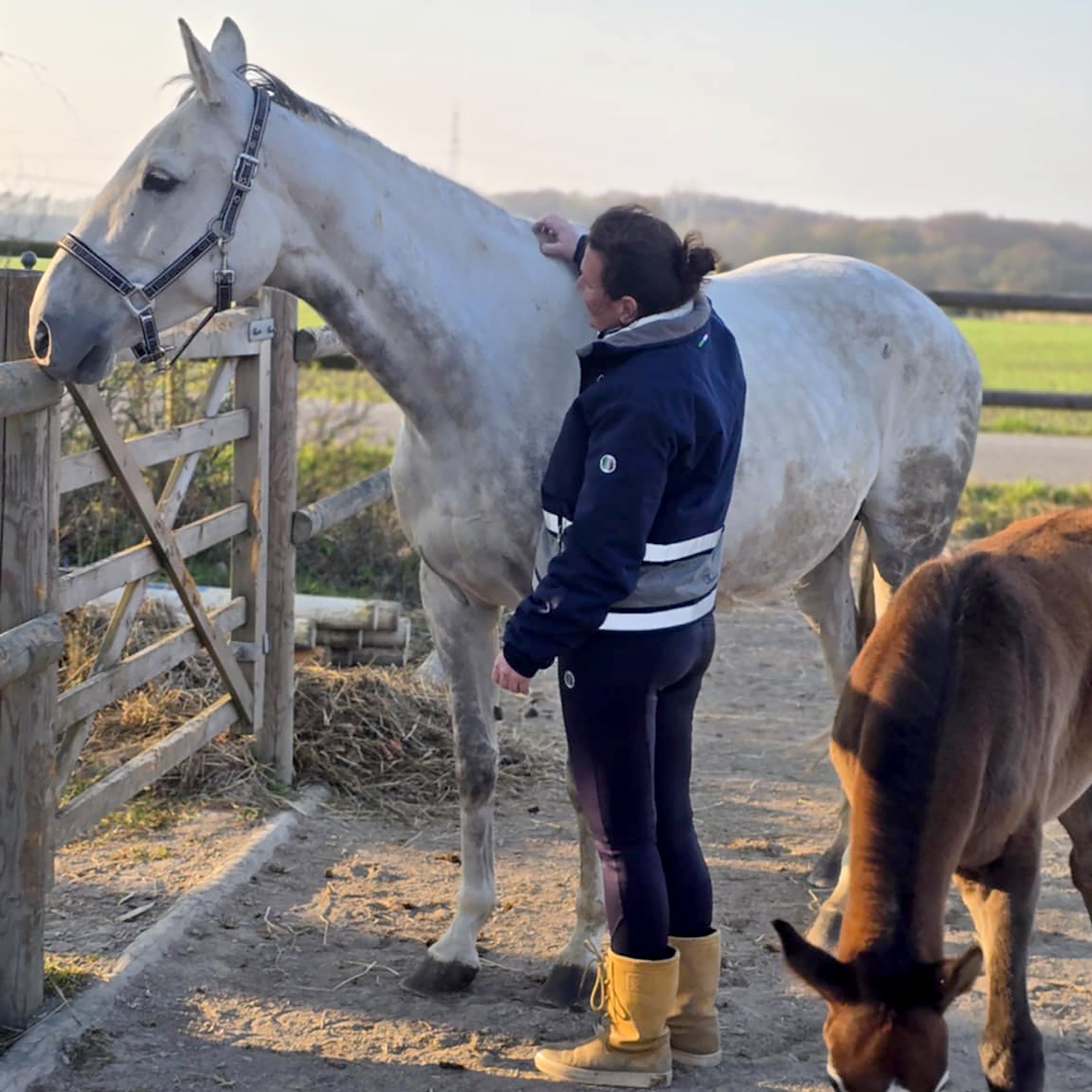 ALLENSWORTH Grooms Stable Jacket Navy (Black Iris)