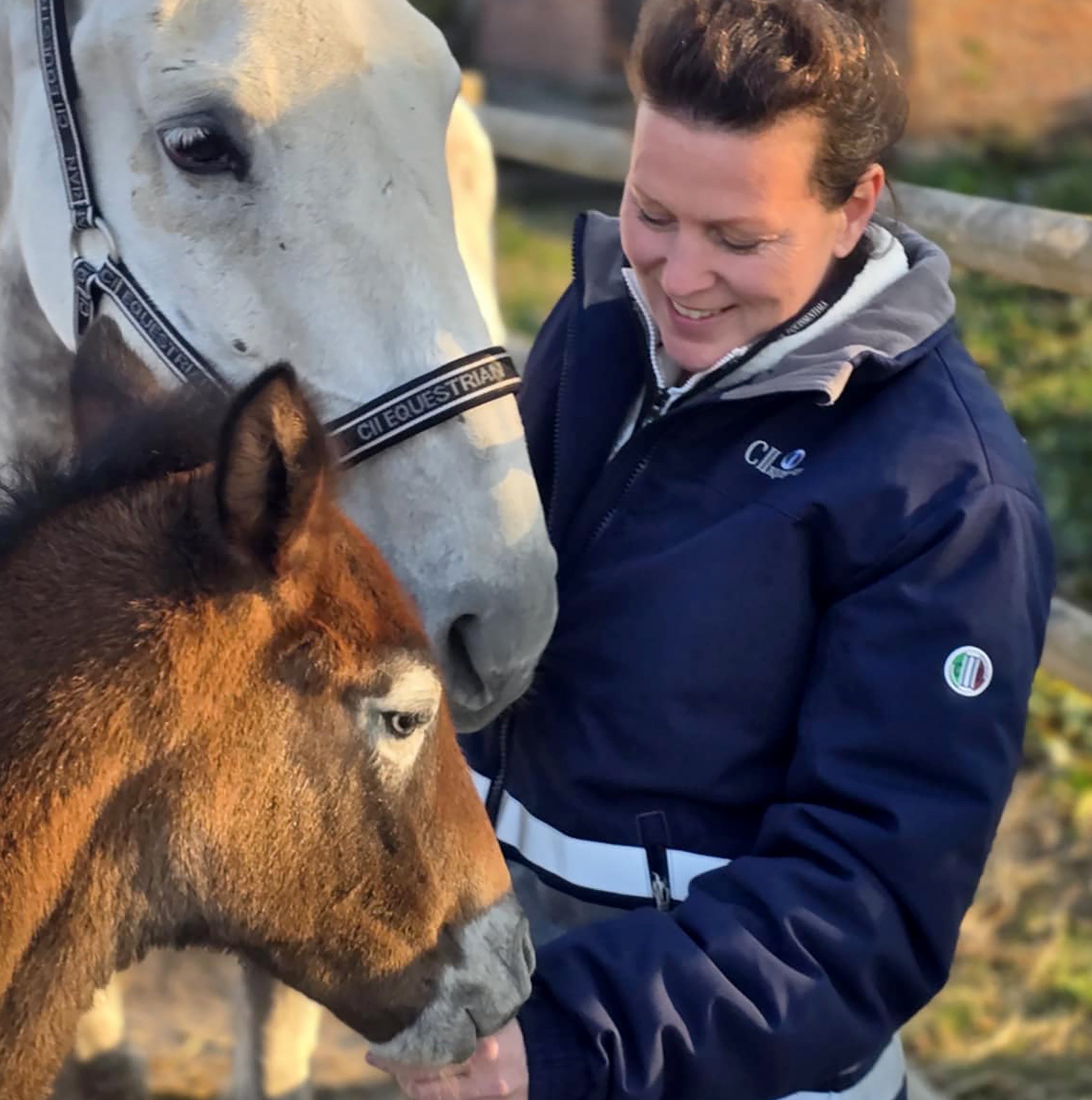 ALLENSWORTH Grooms Stable Jacket Navy (Black Iris)