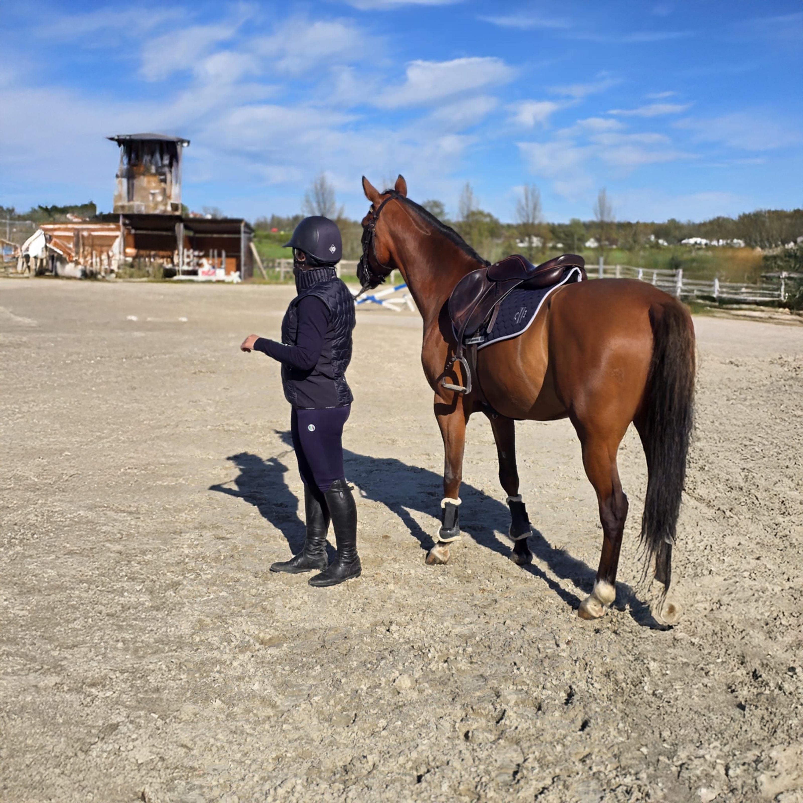 FRESNO COLOR Ladies Fullgrip Breeches Navy (Black Iris)