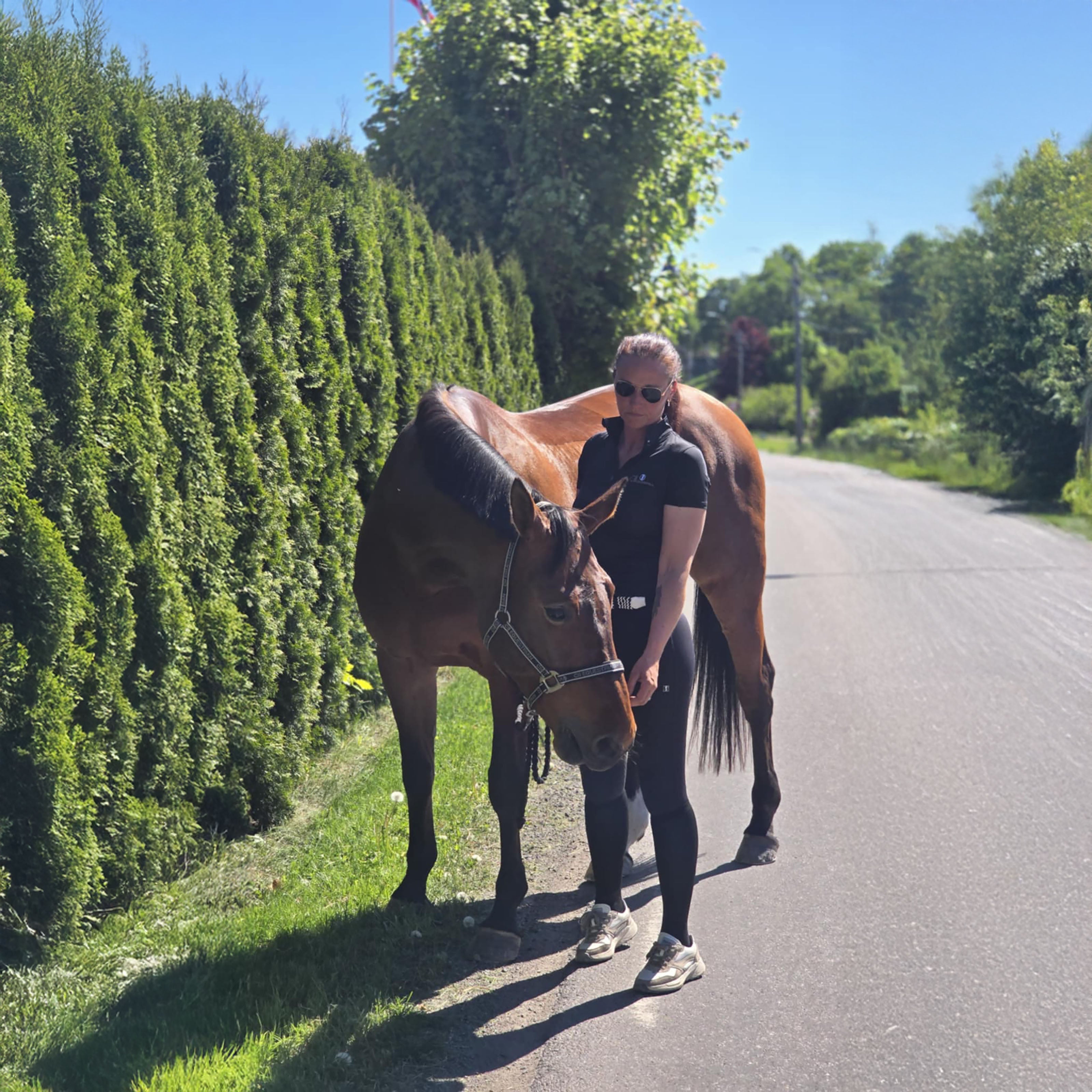 FRESNO COLOR Ladies Kneegrip Breeches Black (Jet Black)