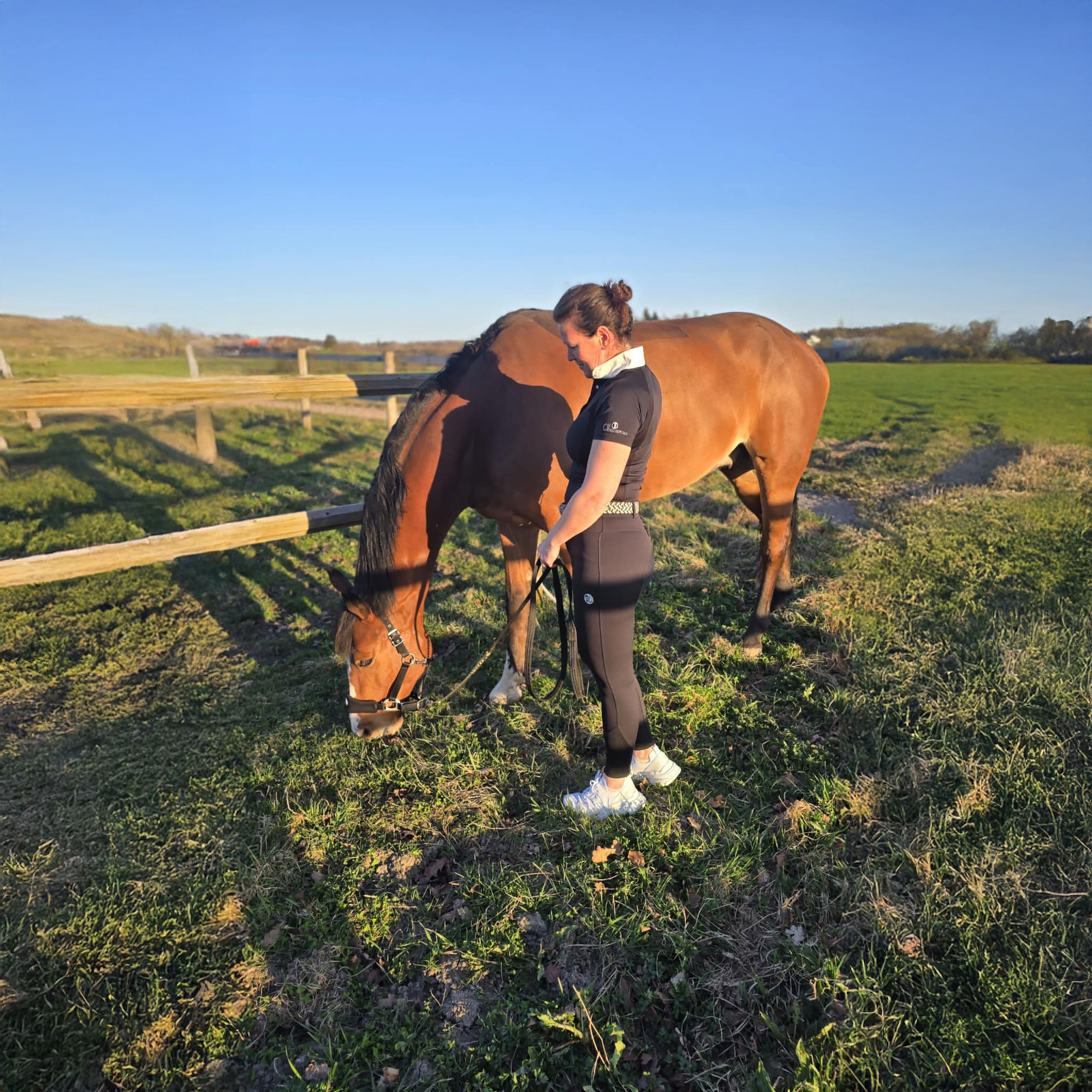 FRESNO COLOR Ladies Kneegrip Breeches Black (Jet Black)
