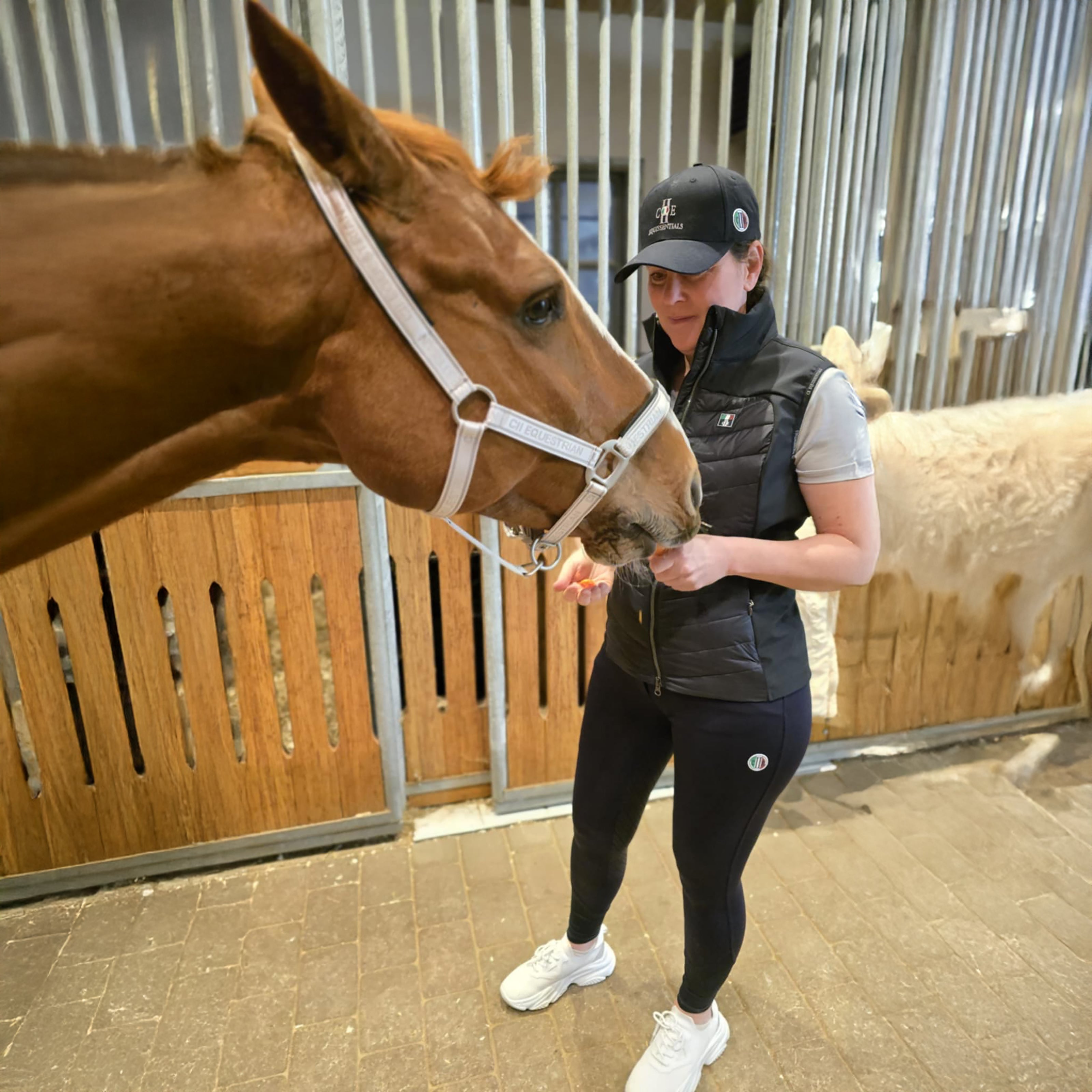 FRESNO COLOR Ladies Kneegrip Breeches Navy (Black Iris)
