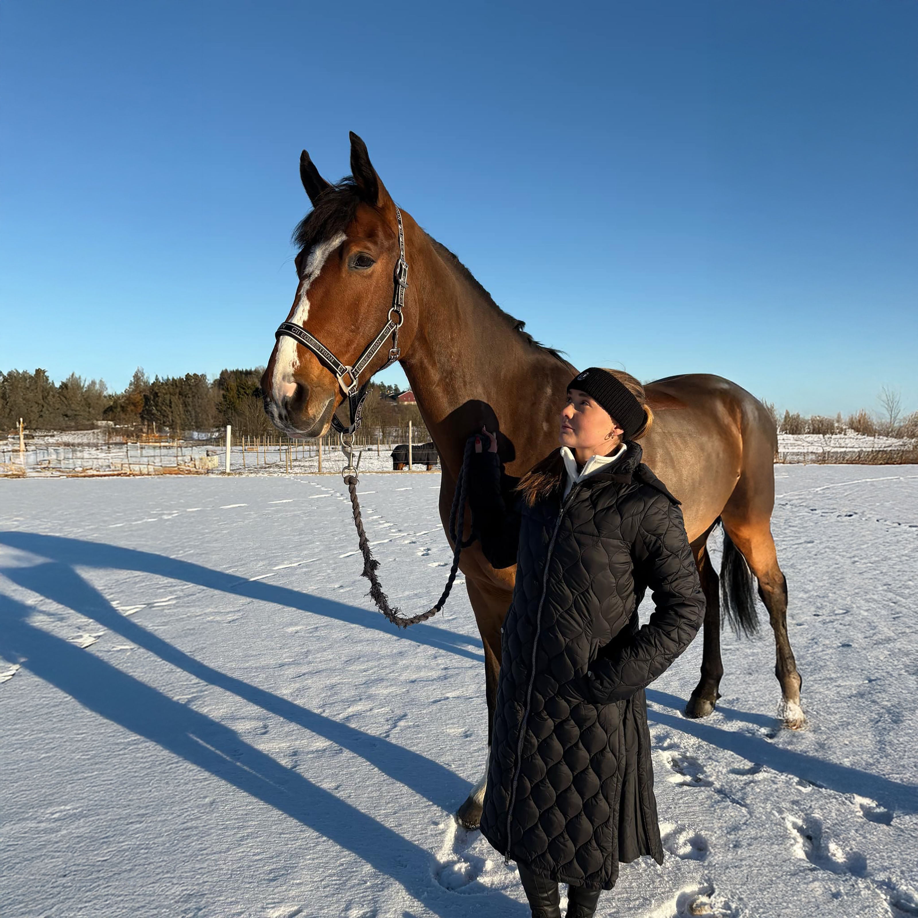 TUSTIN Wool Knitted headband Navy (Black Iris)