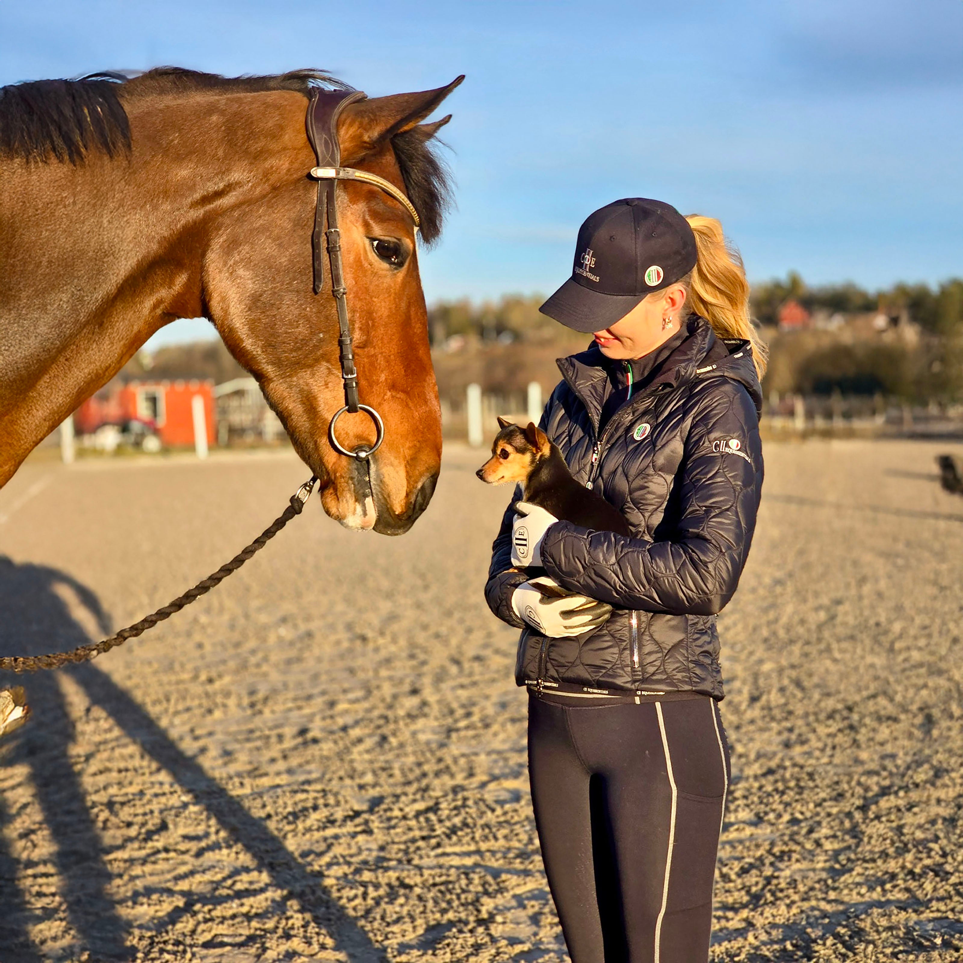 PASO ROBELS Working/Training Glove Lt Grey (Blank de Blank)