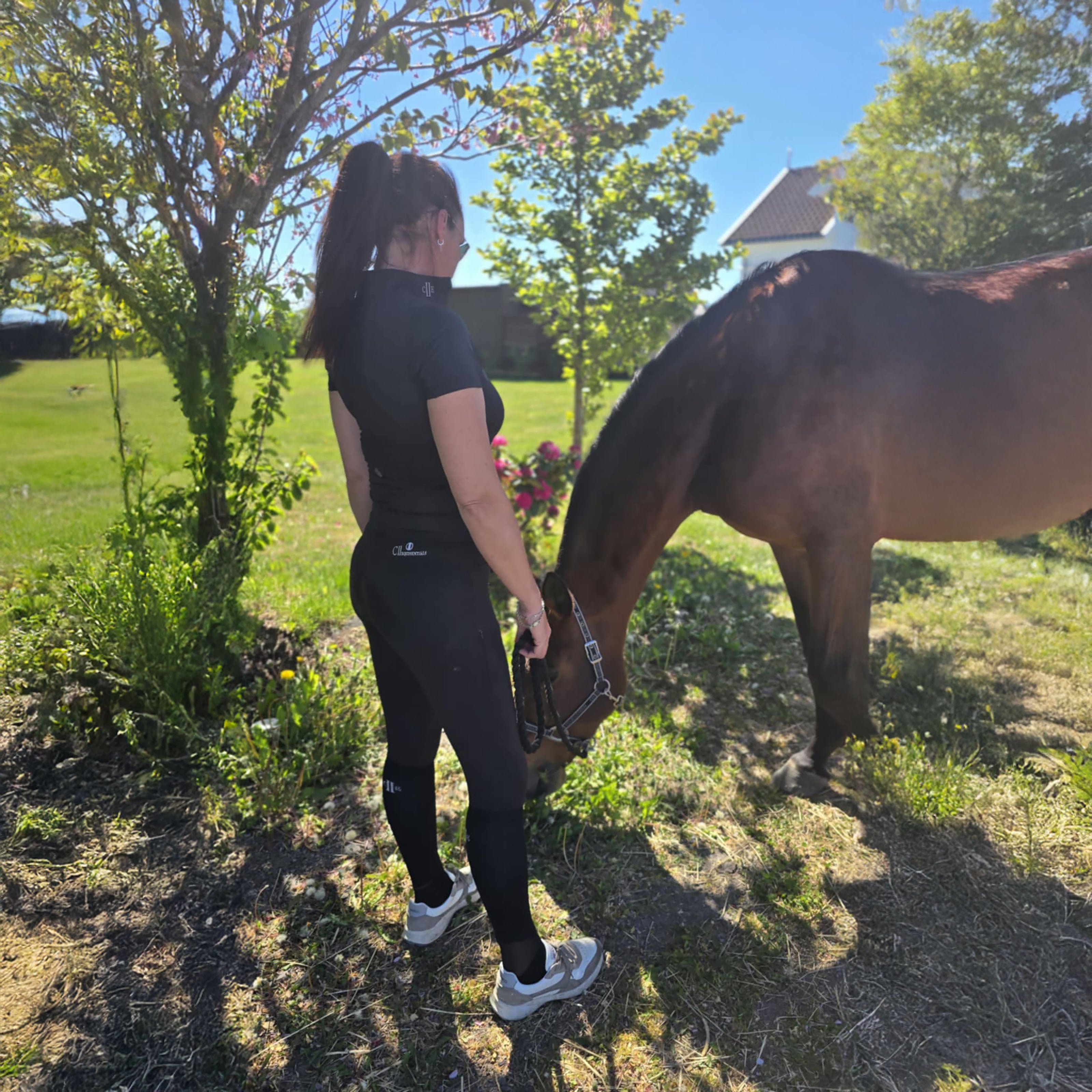 POMONA 5 Pack Showsocks Black (Jet Black)