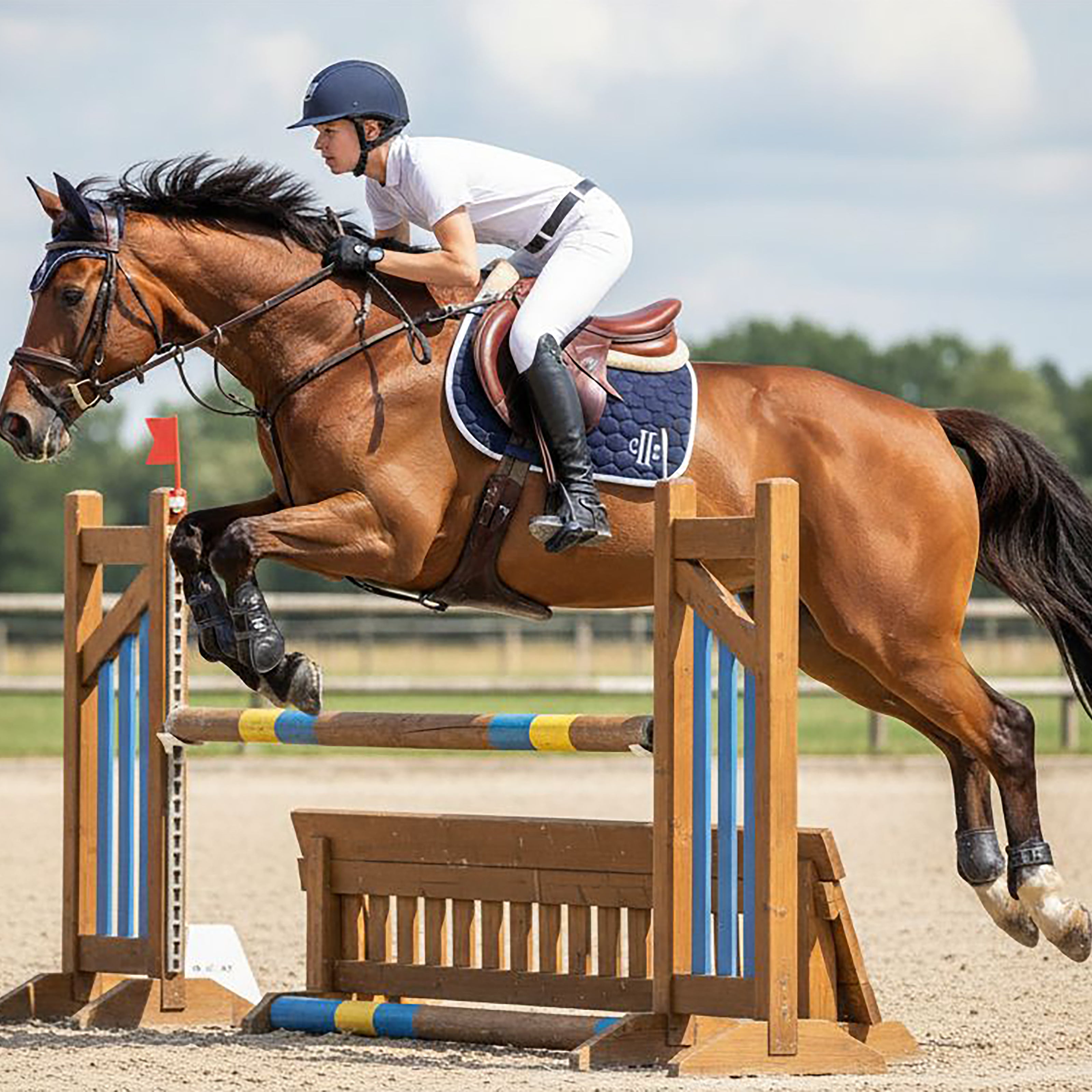 TRUCKEE Saddlepad Navy (Black Iris)