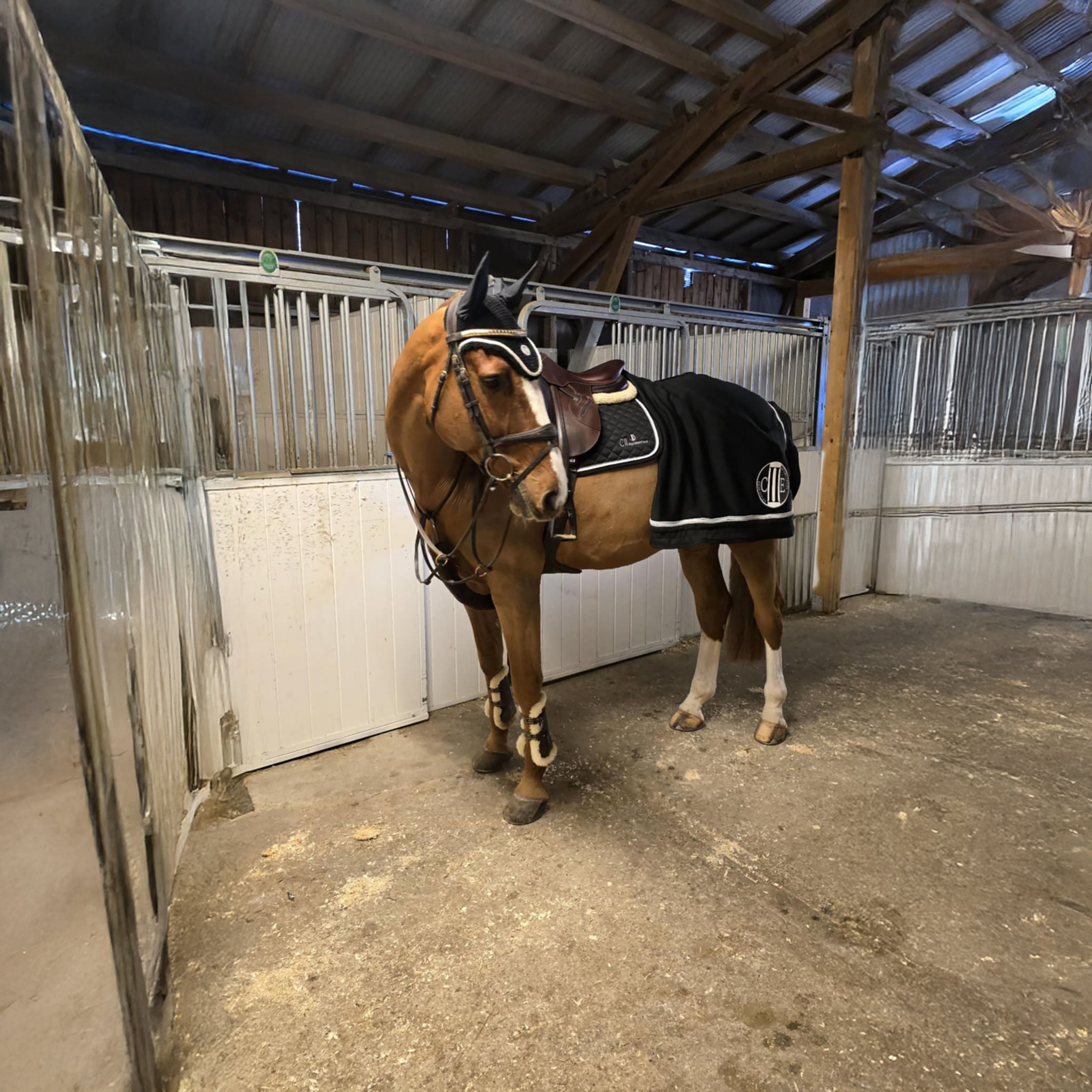 VAN NUYS Flyhat Black (Jet Black)