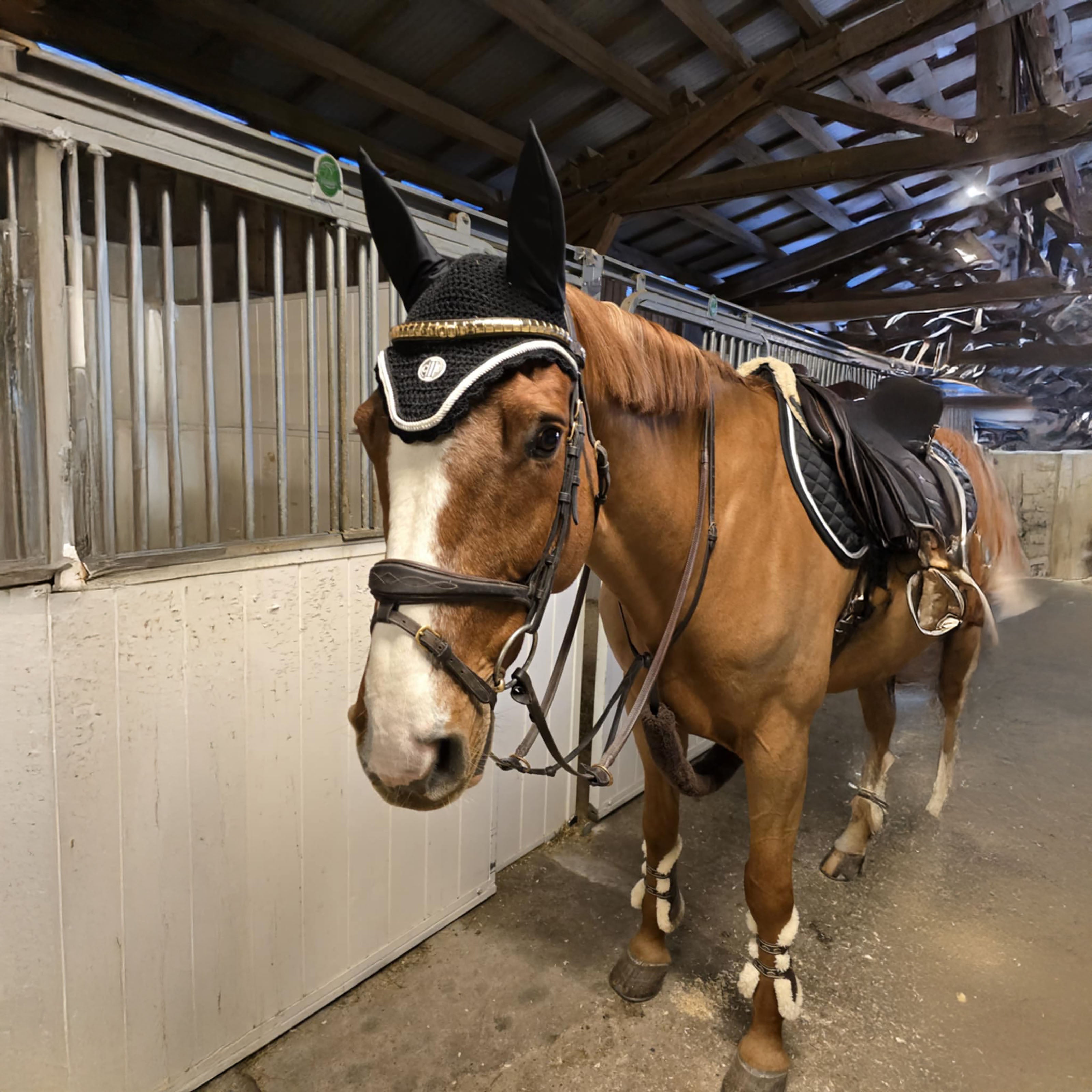 VAN NUYS Flyhat Black (Jet Black)