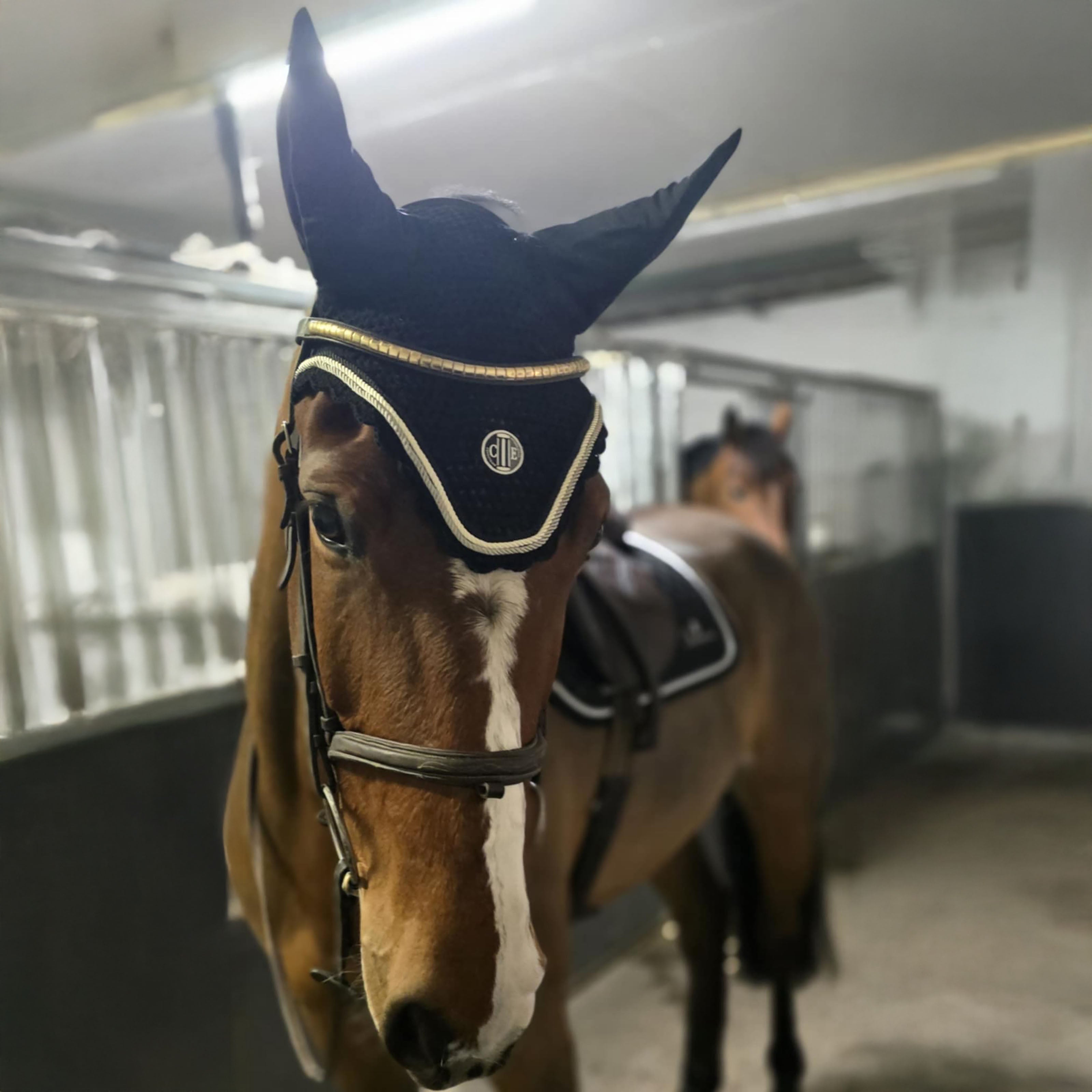 VAN NUYS Flyhat Black (Jet Black)