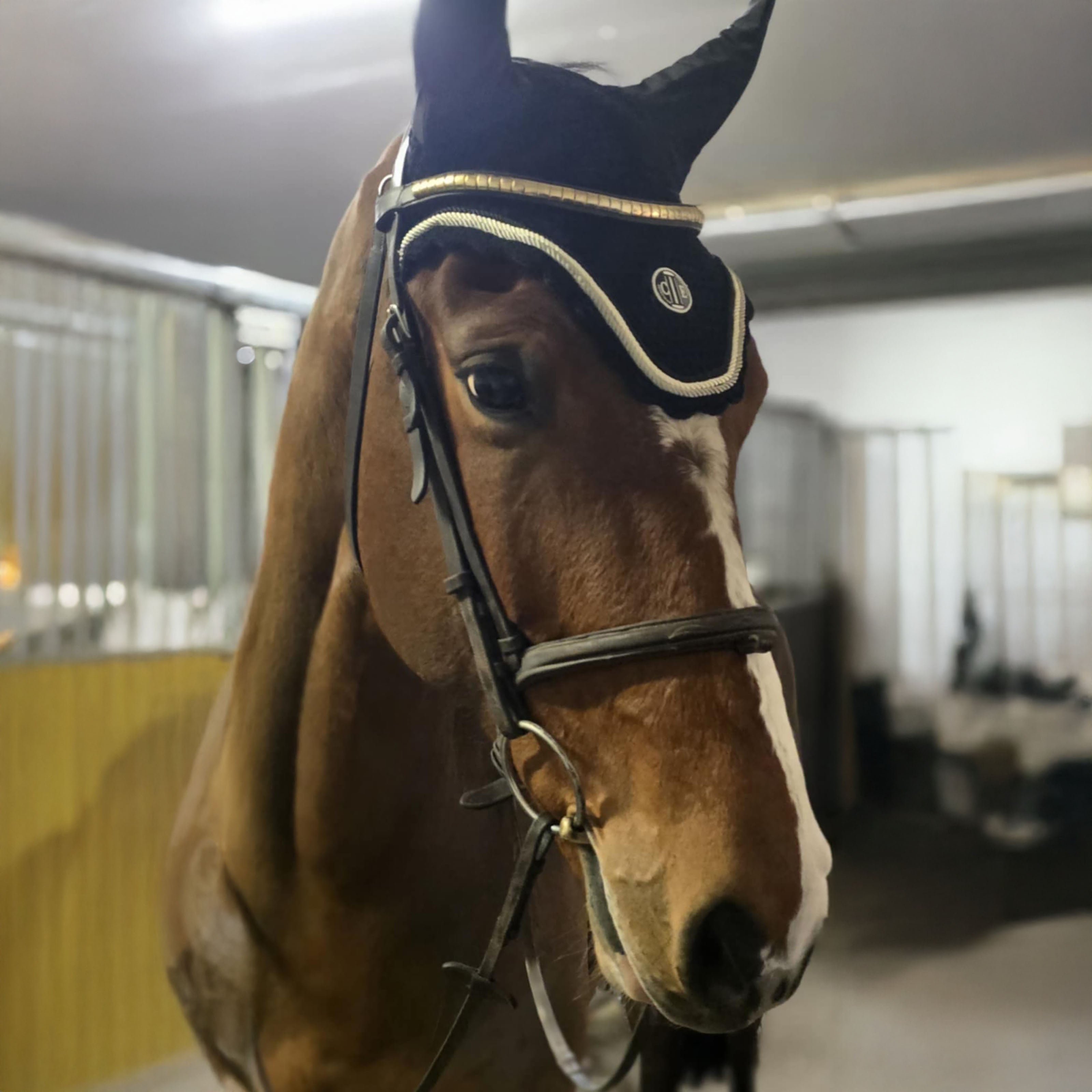 VAN NUYS Flyhat Black (Jet Black)