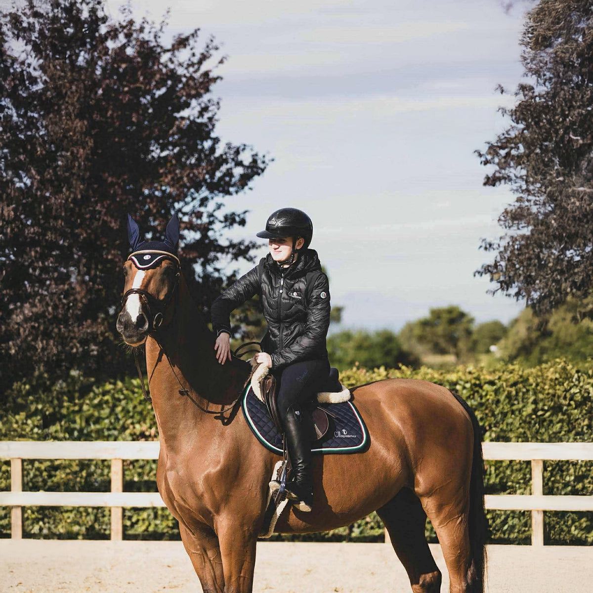 PIR-1000200127-0289-1000200127-0289_12.jpg