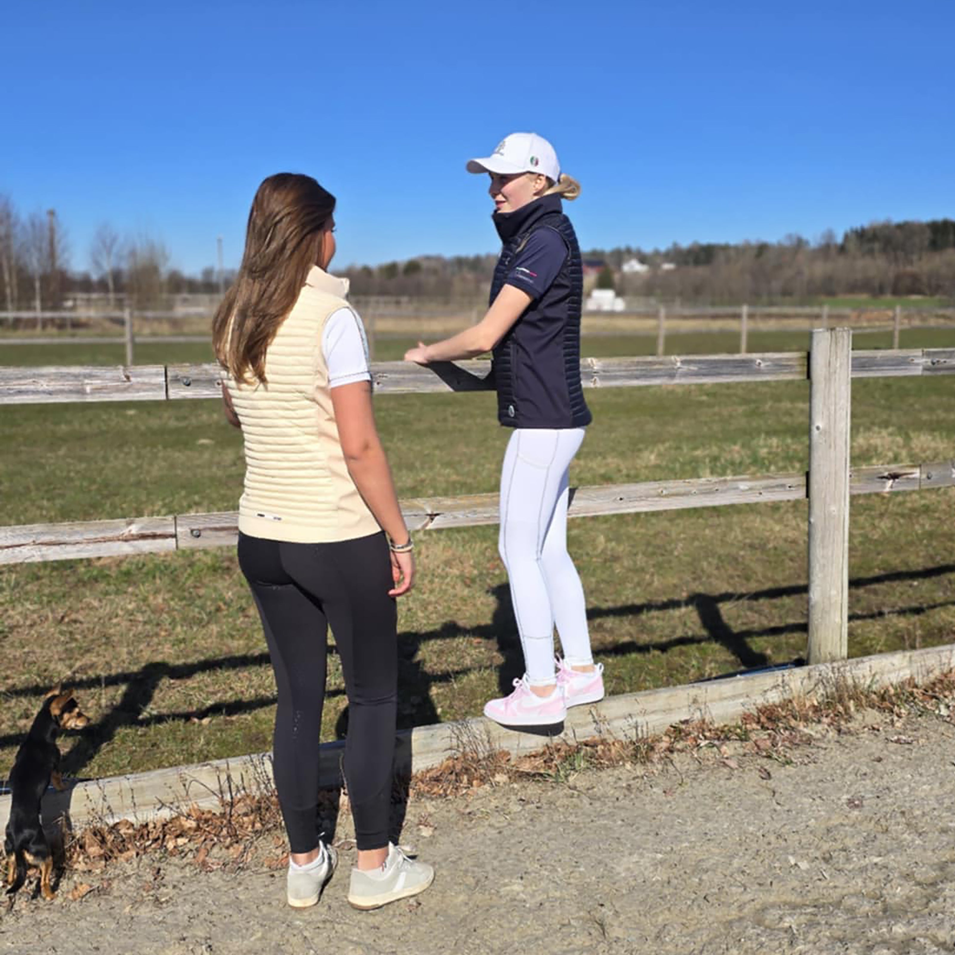 NATOMAS Softshell Quilted Bodywarmer Navy (Black Iris)