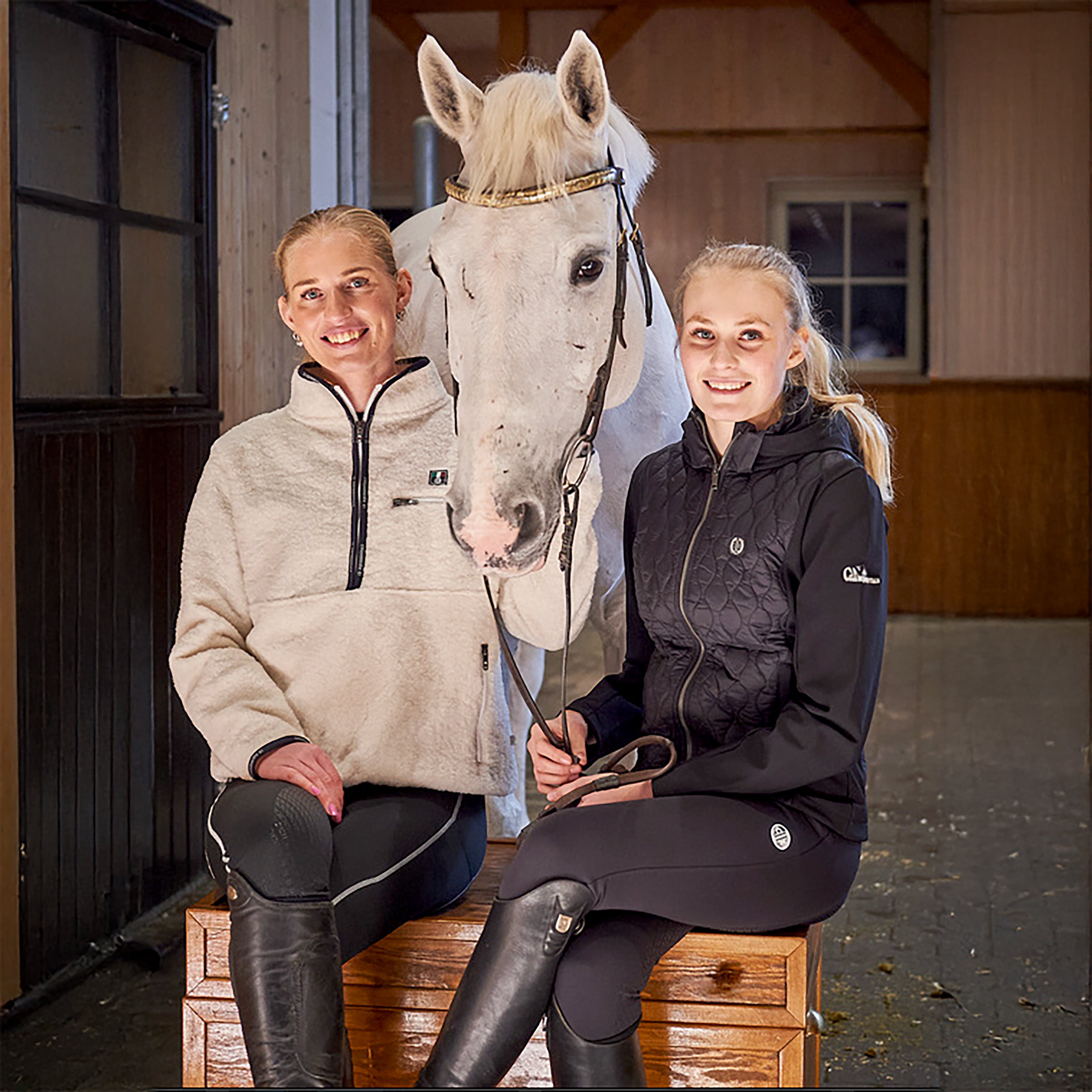 RIPON Softshell Quilted Jacket Black (Jet Black)