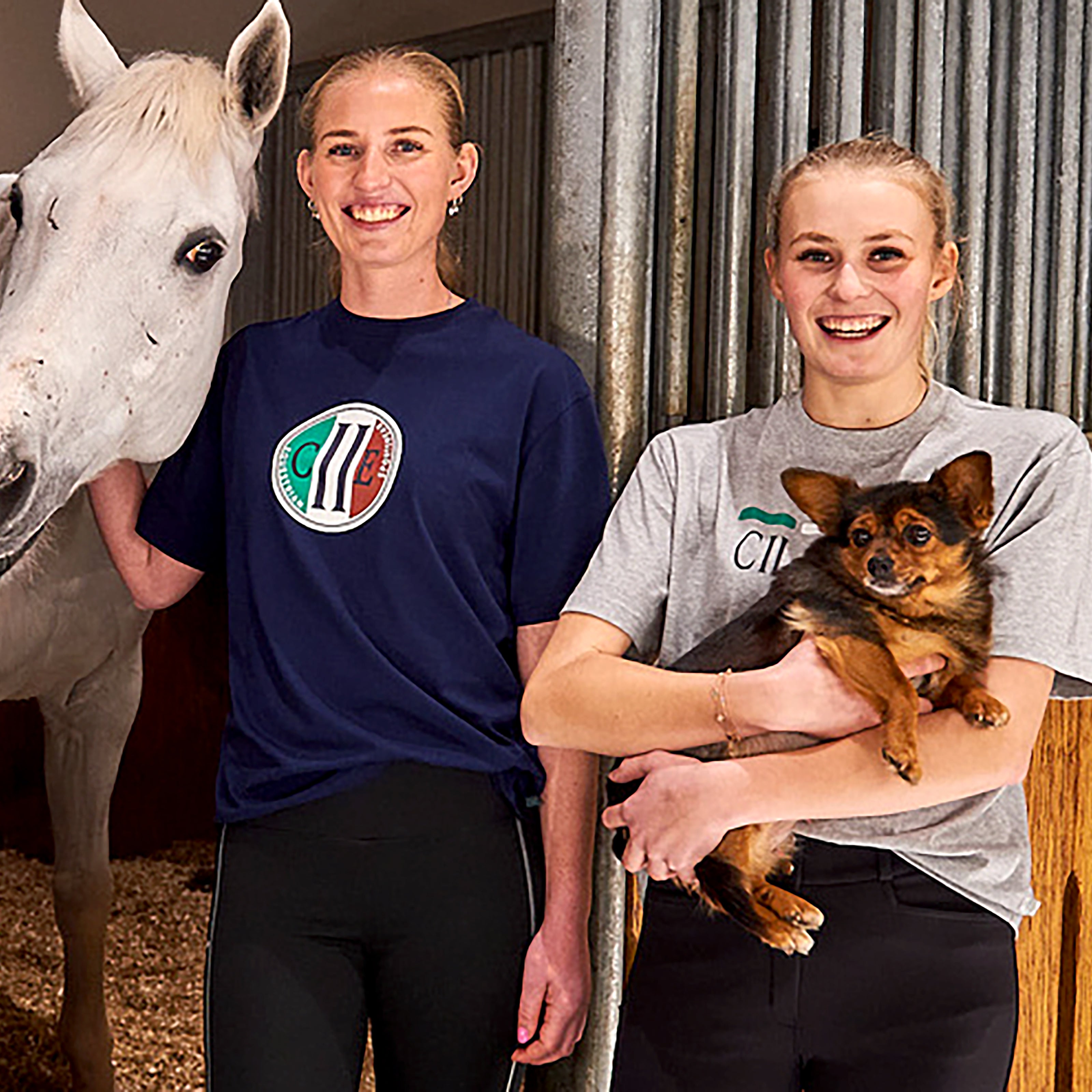 GREAT AMERICA RN T-Shirt Grey Melange