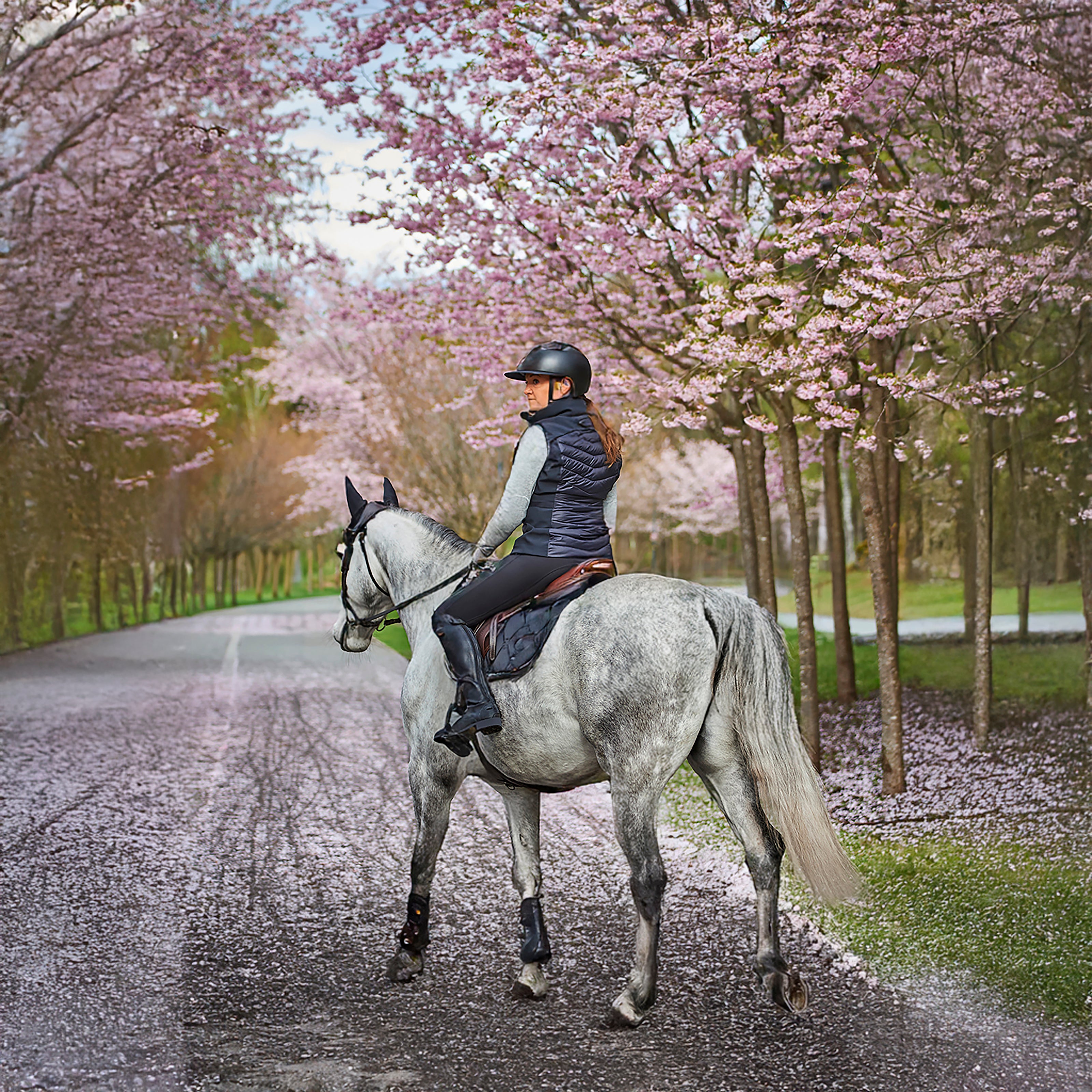 BURBANK Quilted Bodywarmer Navy (Black Iris)