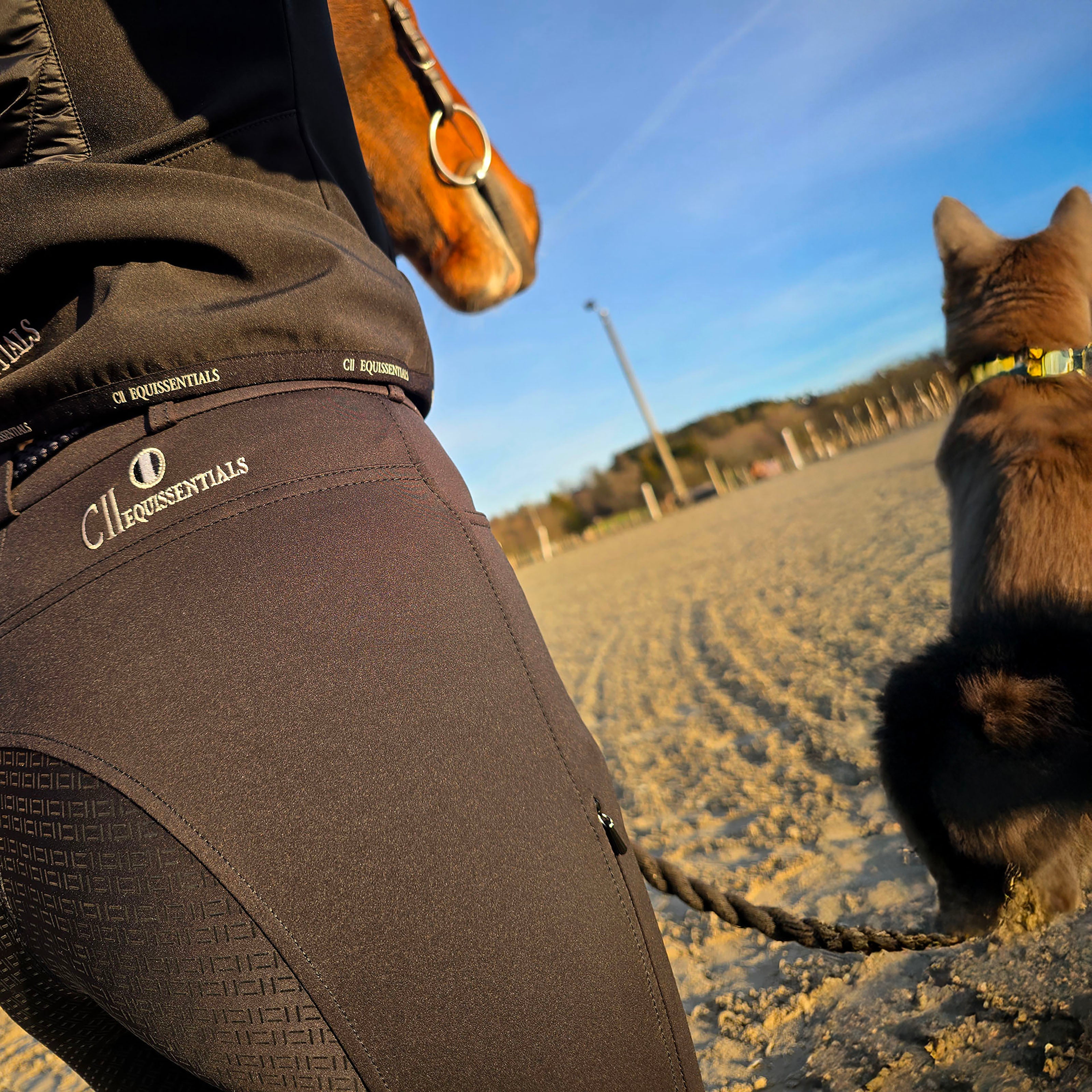 FRESNO COLOR Ladies Fullgrip Breeches Black (Jet Black)