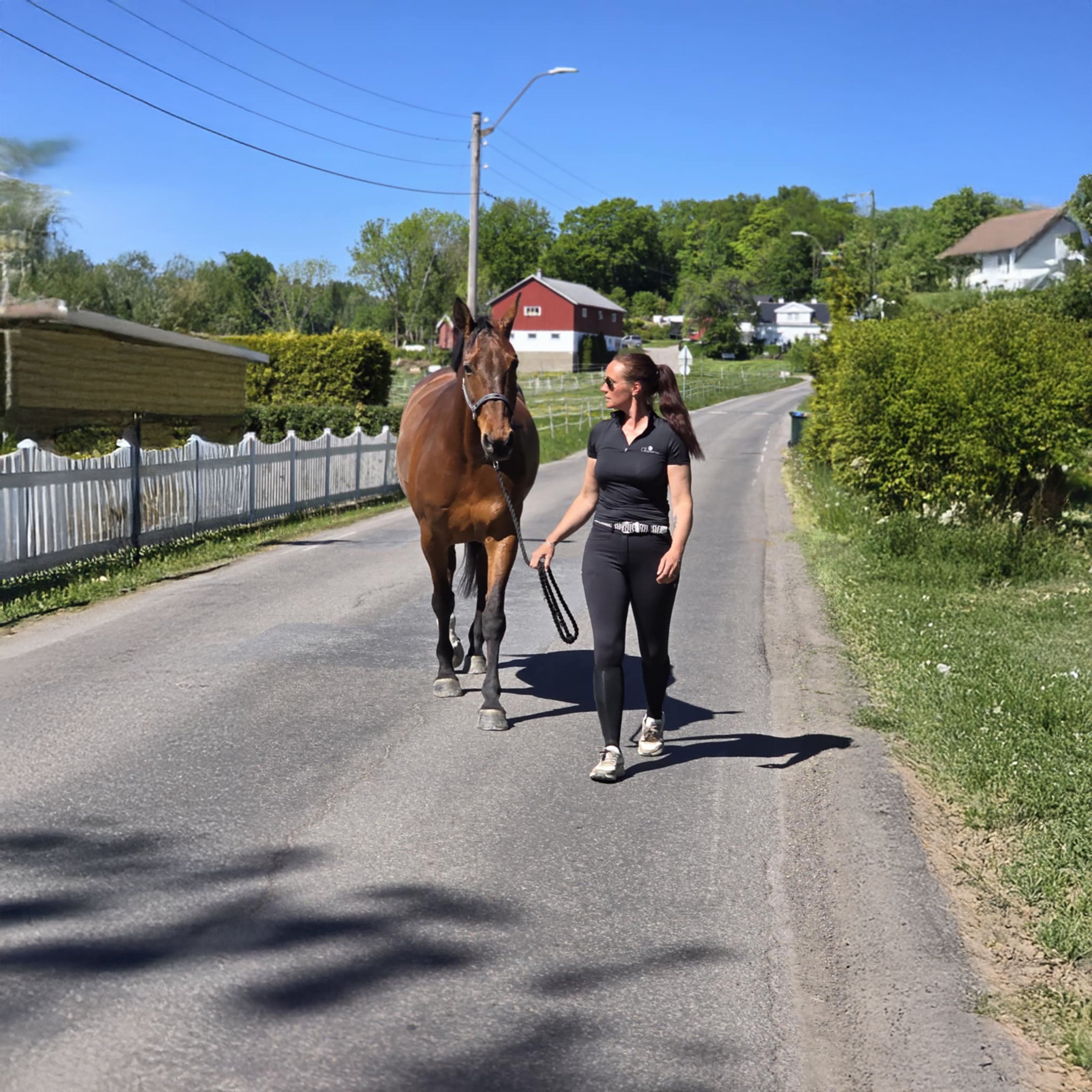 FRESNO COLOR Ladies Kneegrip Breeches Black (Jet Black)