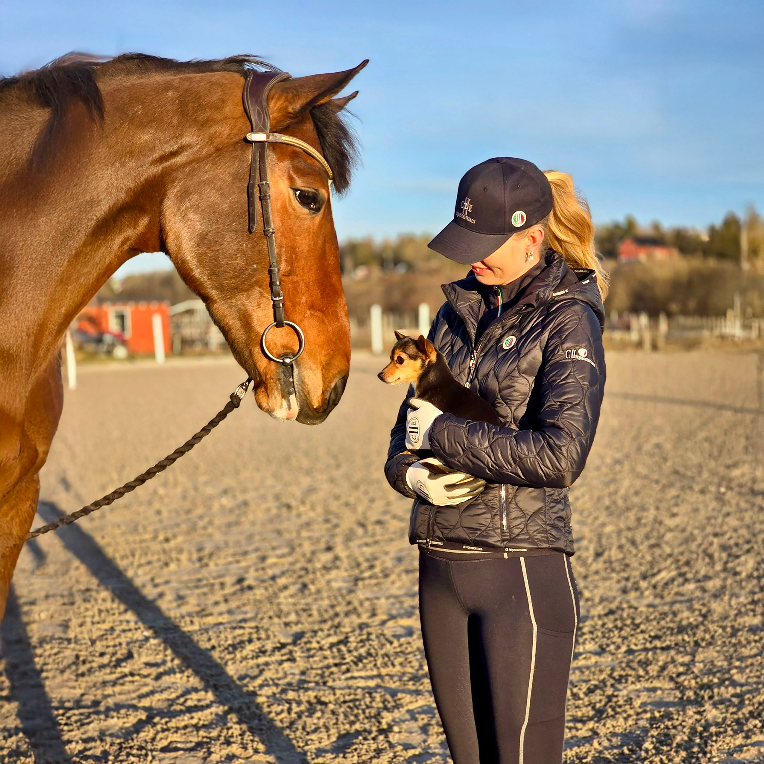 NEEDLES Twill Caps Navy (Black Iris)