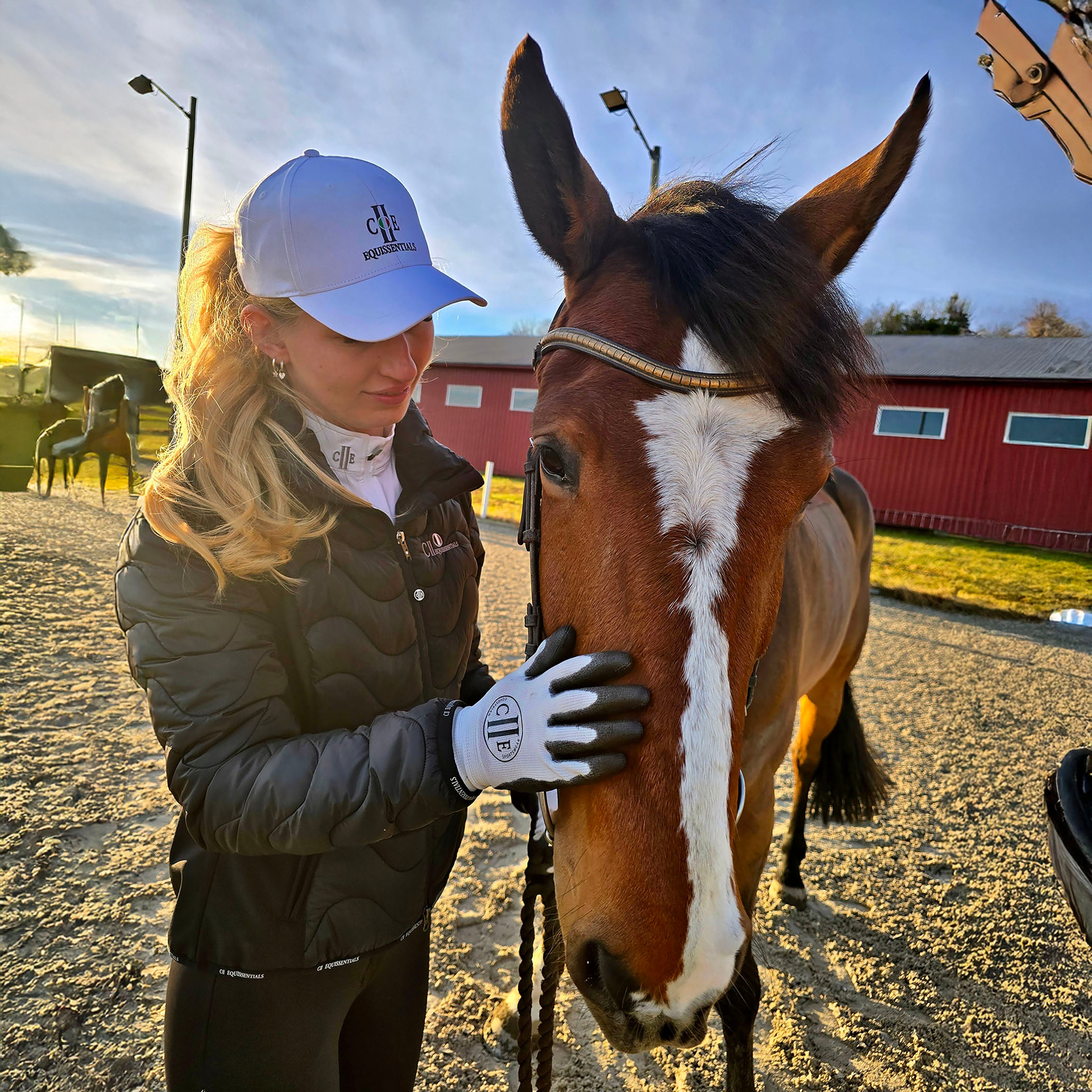 PASO ROBELS Working/Training Glove Lt Grey (Blank de Blank)