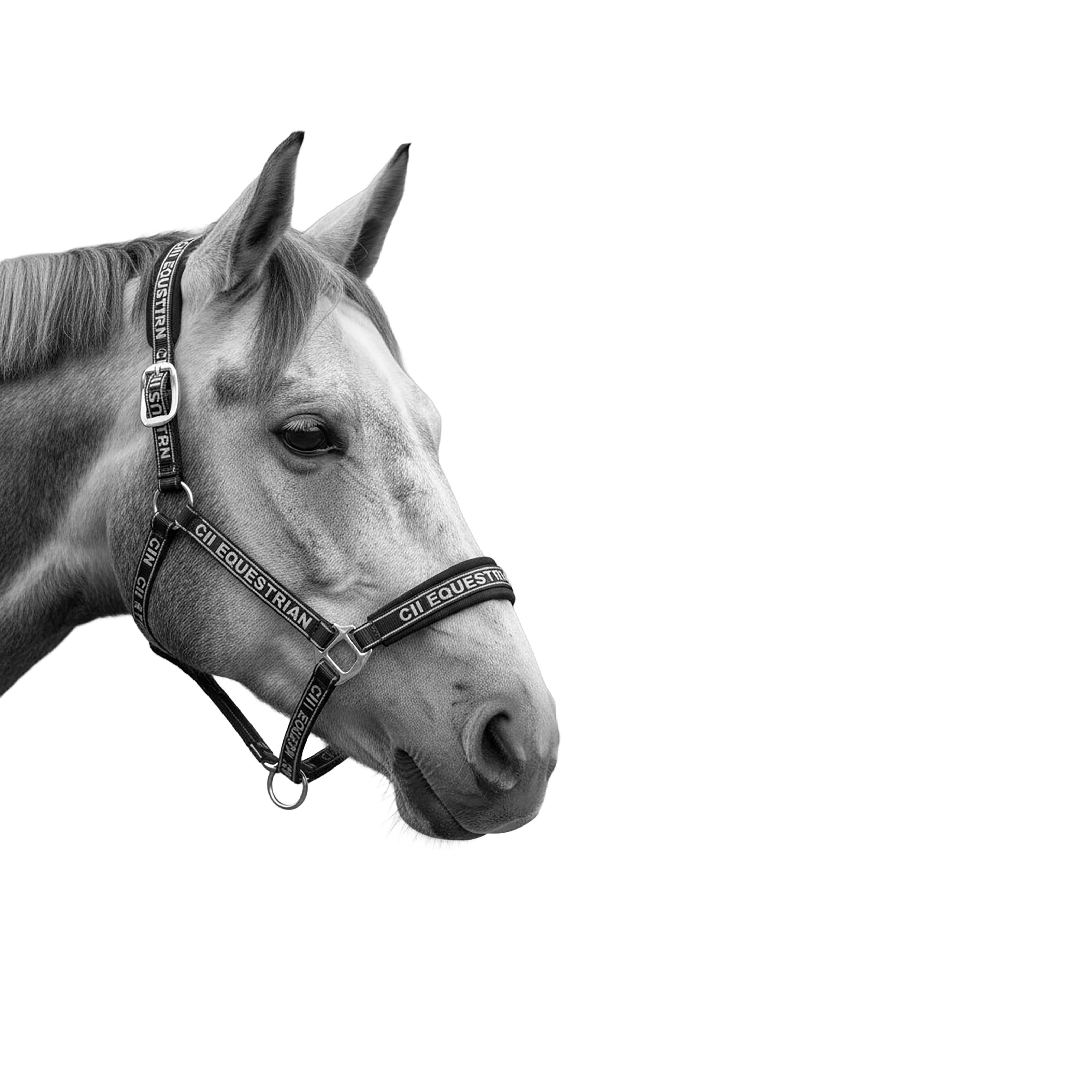 MILLBRAE Logo Nylon Halter Black (Jet Black)