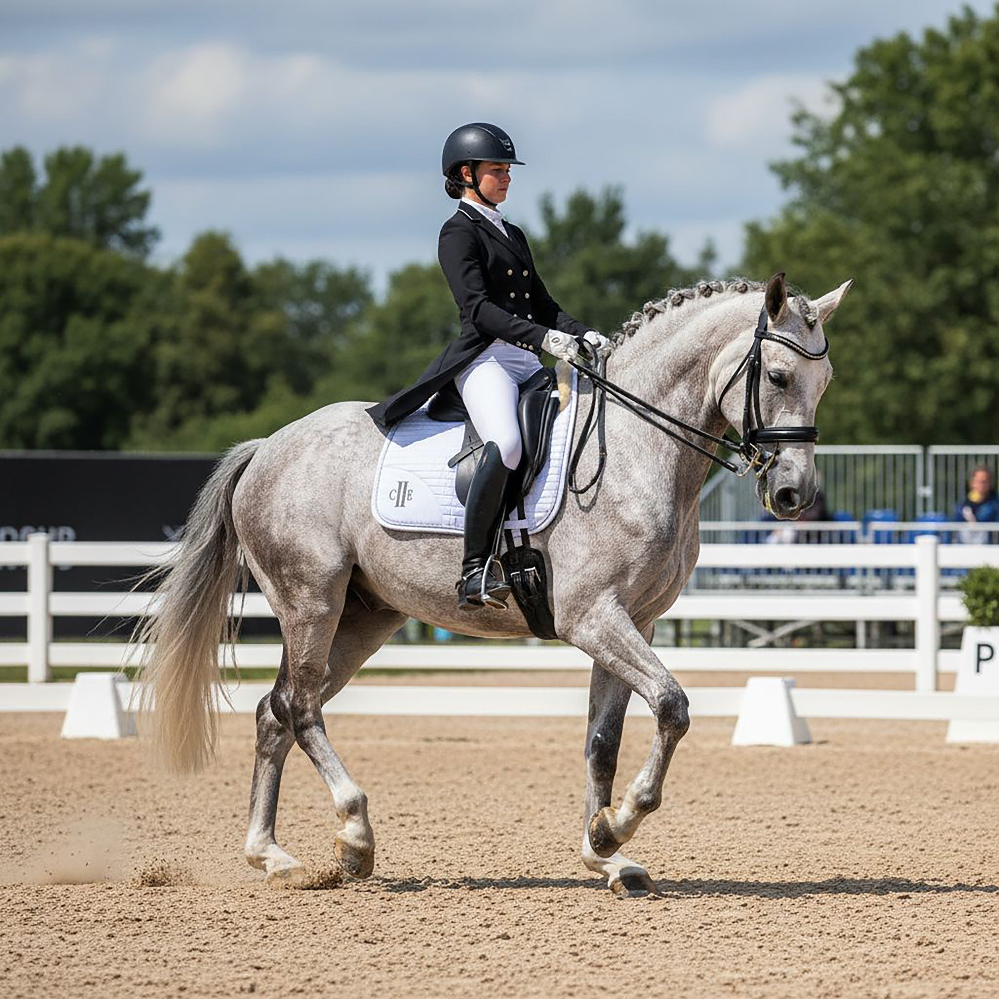 PASADENA Dressage Saddlepad White (Optical White)
