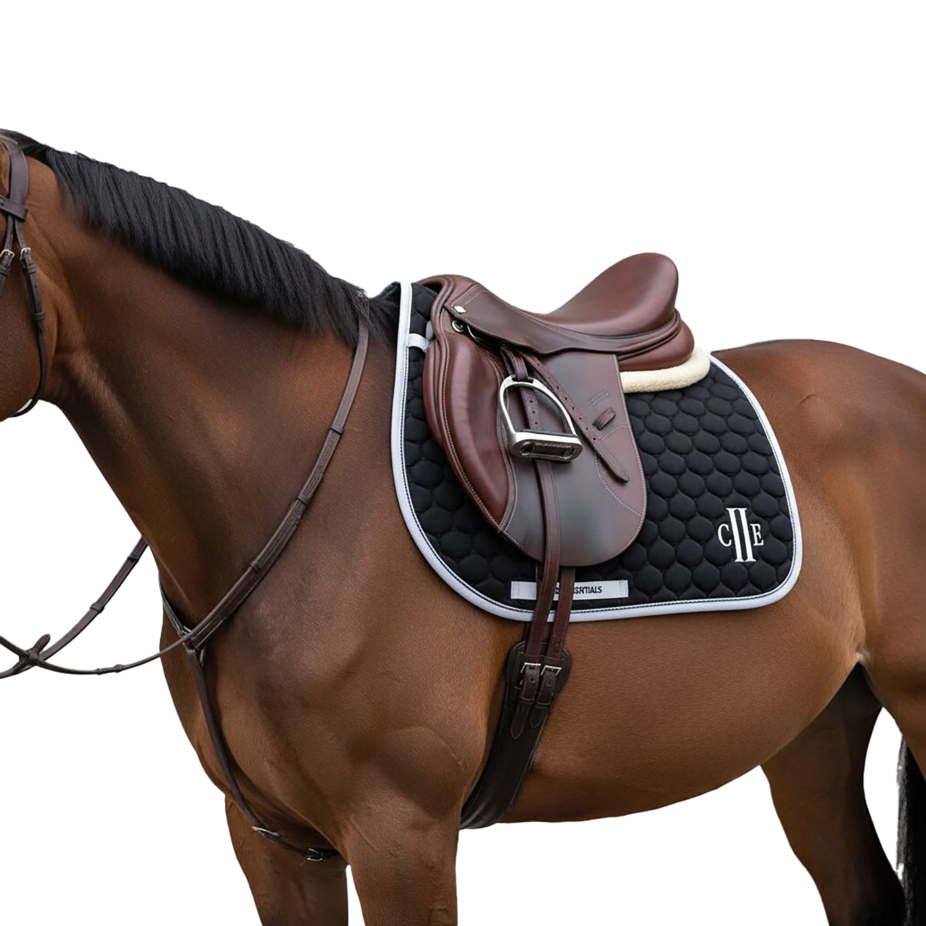 TRUCKEE Saddlepad Black (Jet Black)