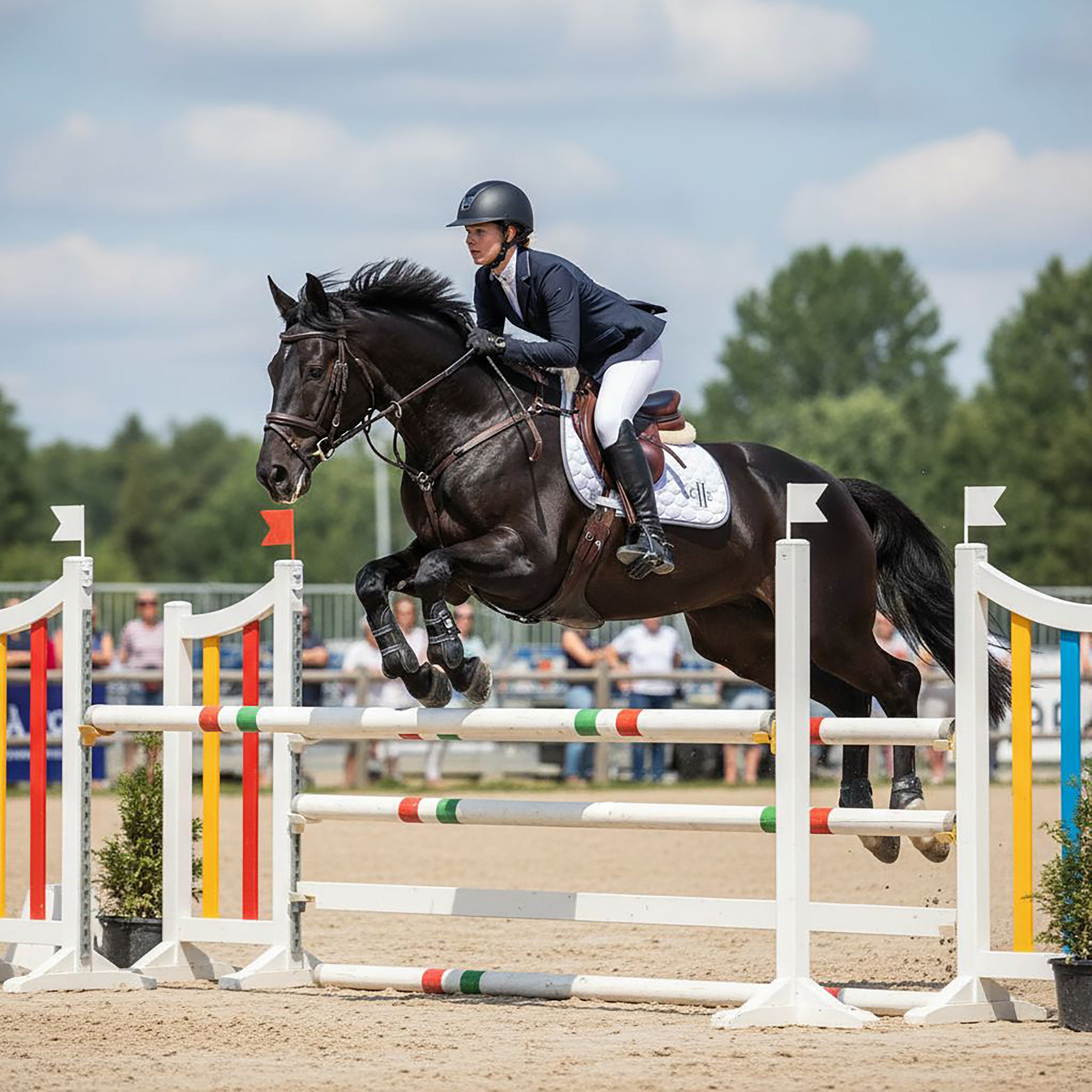 TRUCKEE Saddlepad Offwhite (Snow White)