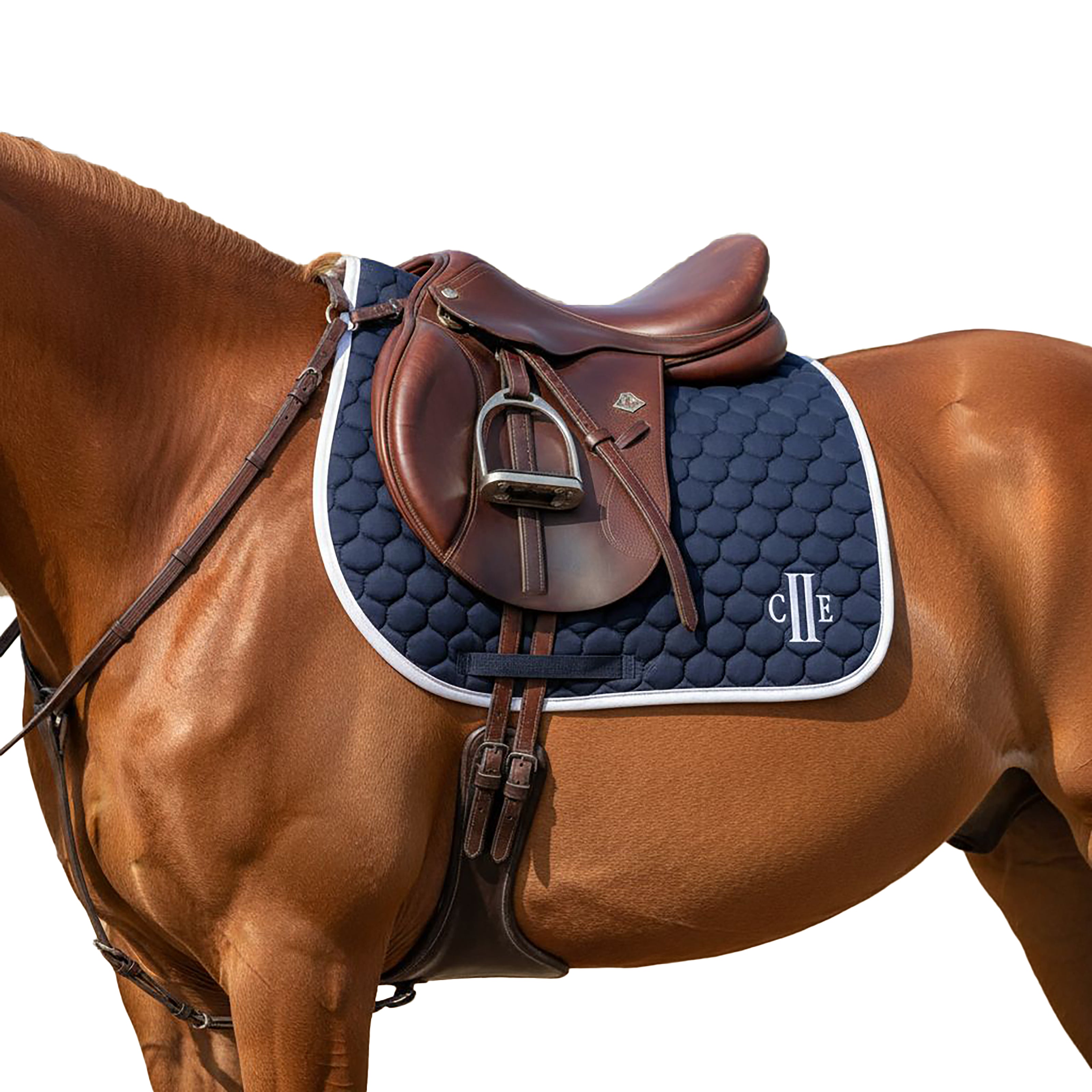 TRUCKEE Saddlepad Navy (Black Iris)
